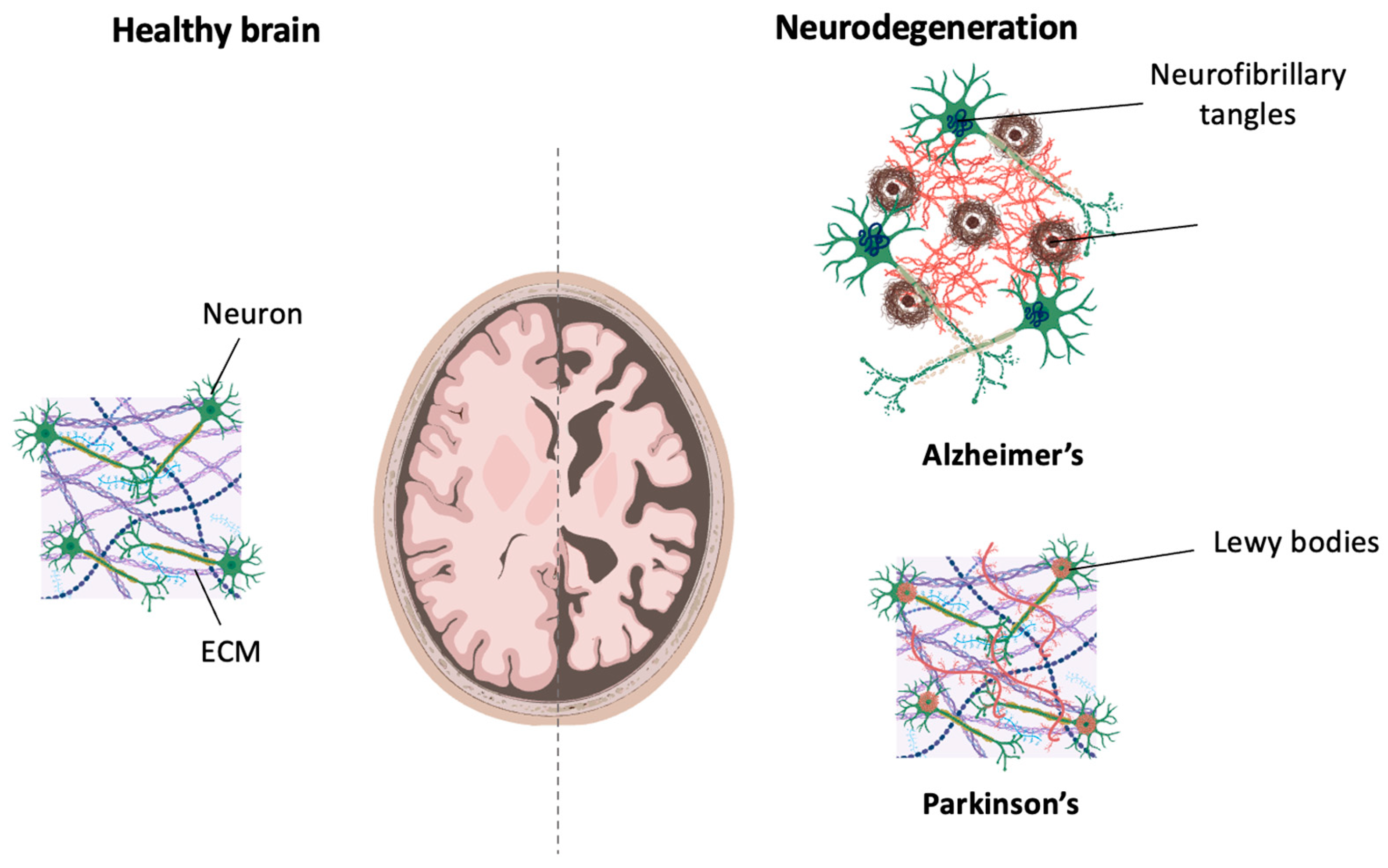 Biomolecules 14 00069 g001 Biomolecules 14 00069 g001