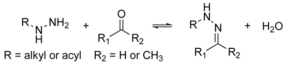Biomolecules 14 00069 i006 Biomolecules 14 00069 i006