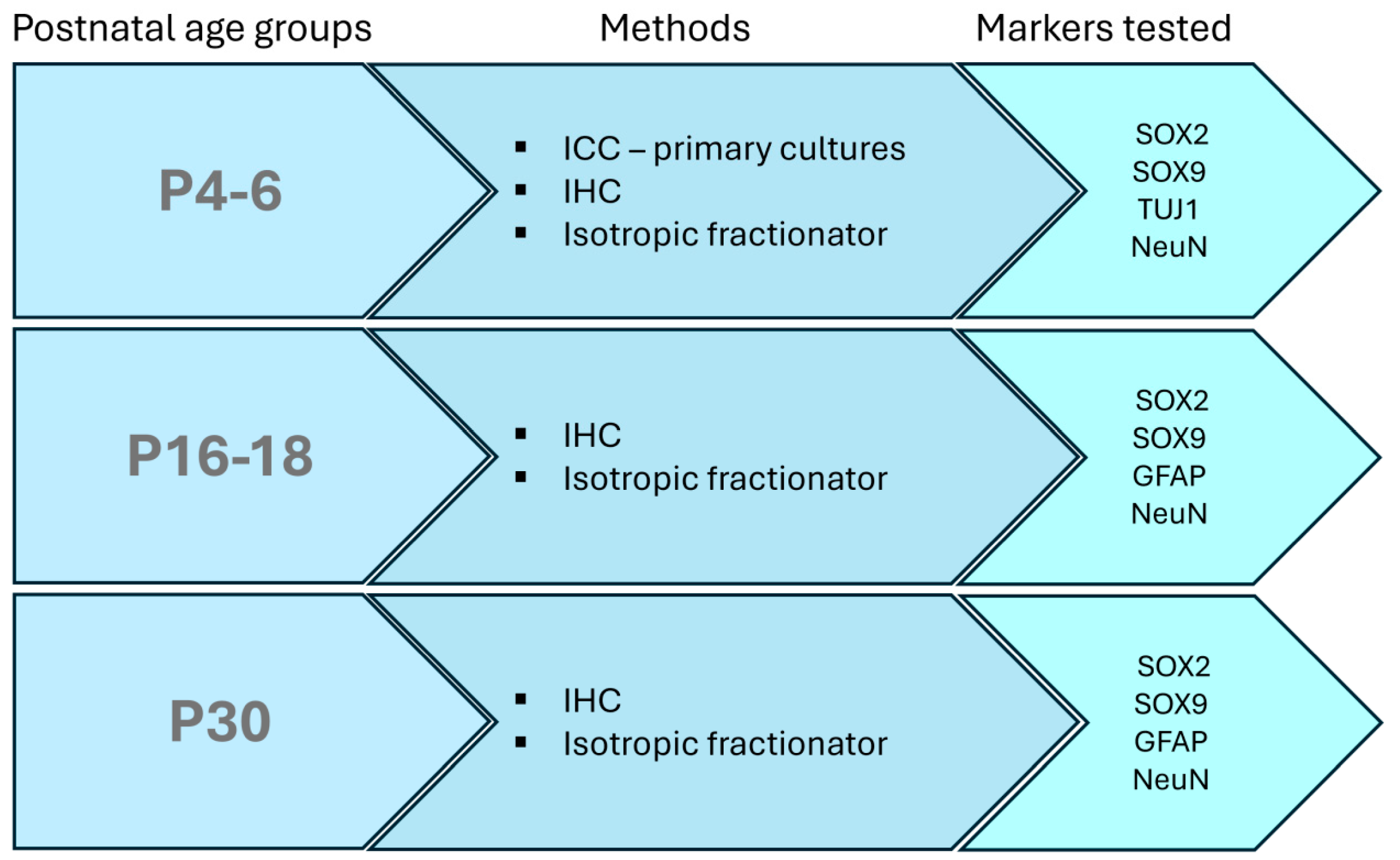 Biomolecules 14 00070 g001 Biomolecules 14 00070 g001