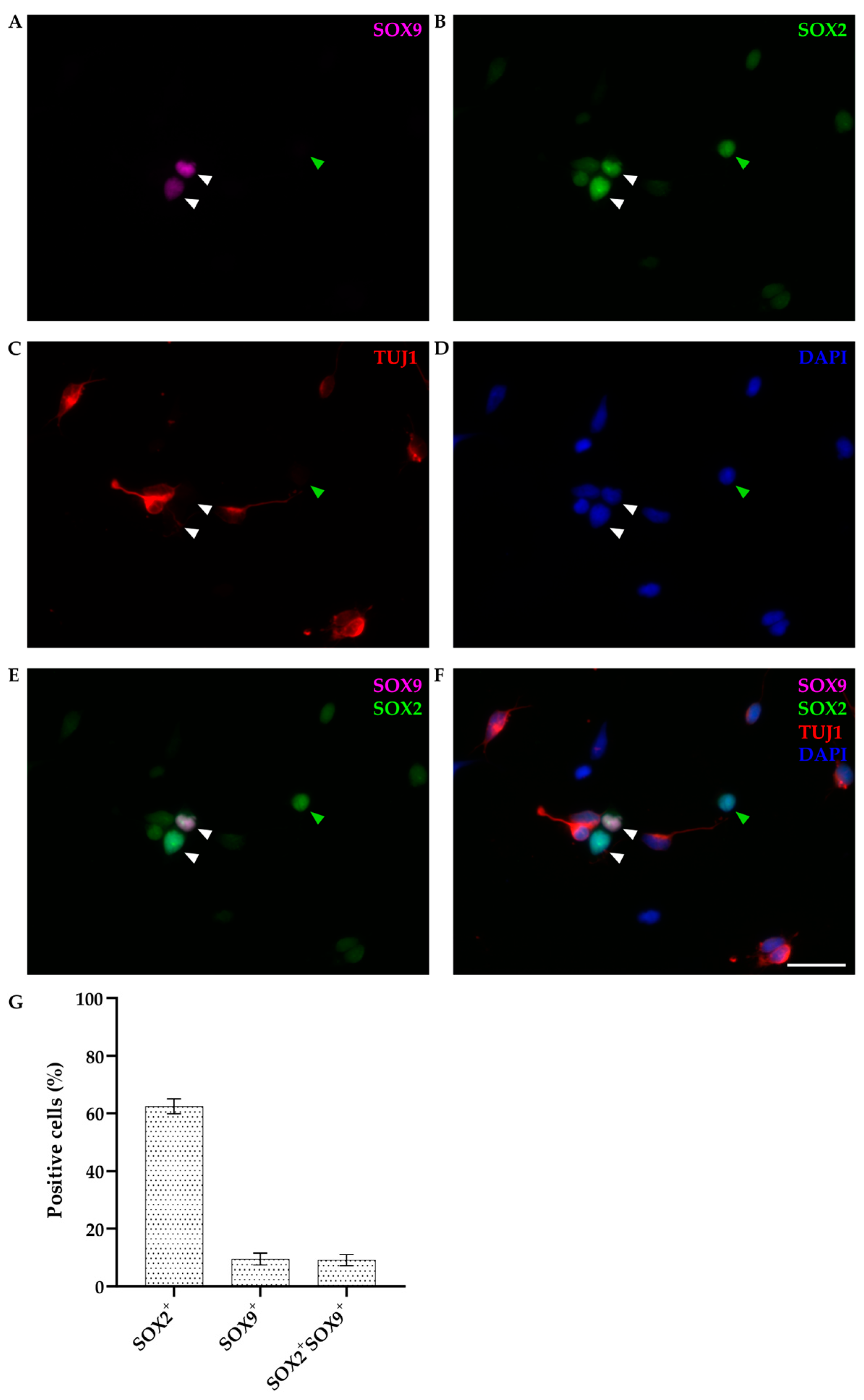 Biomolecules 14 00070 g005 Biomolecules 14 00070 g005