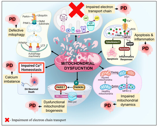 Advancements in Genetic and Biochemical Insights: Unraveling Advancements in Genetic and Biochemical Insights: Unraveling