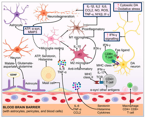 Advancements in Genetic and Biochemical Insights: Unraveling