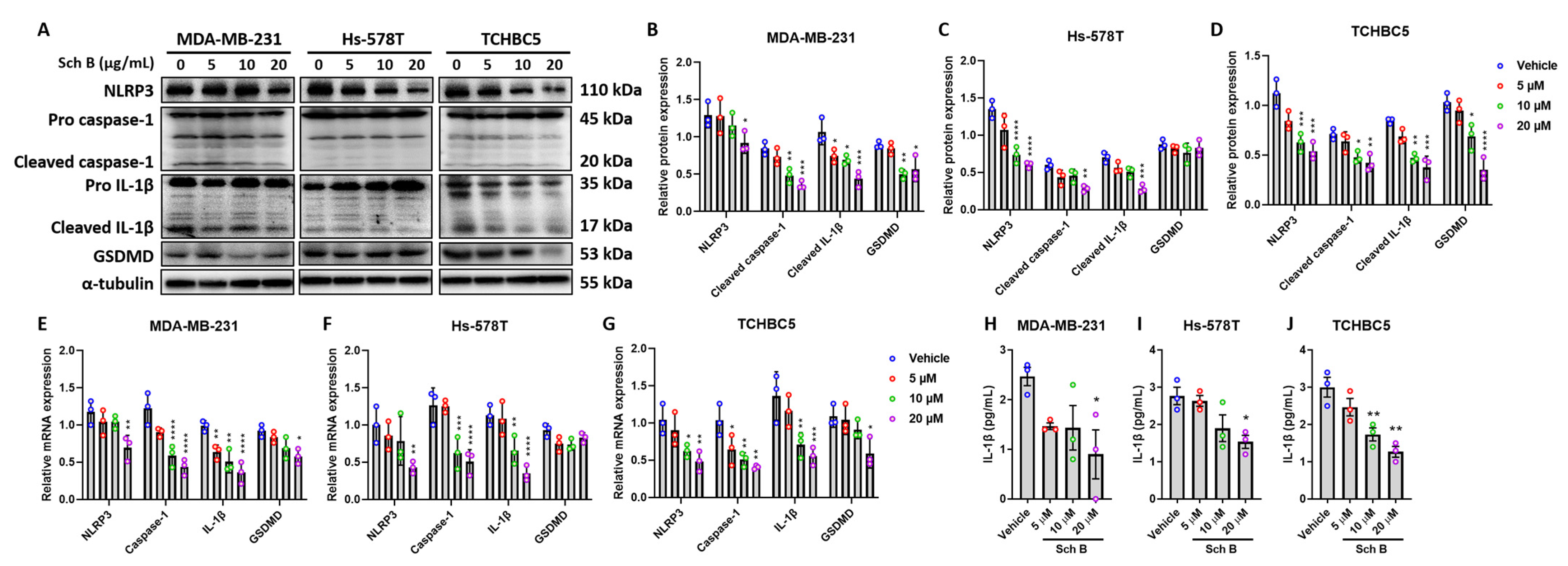 Biomolecules 14 00074 g003