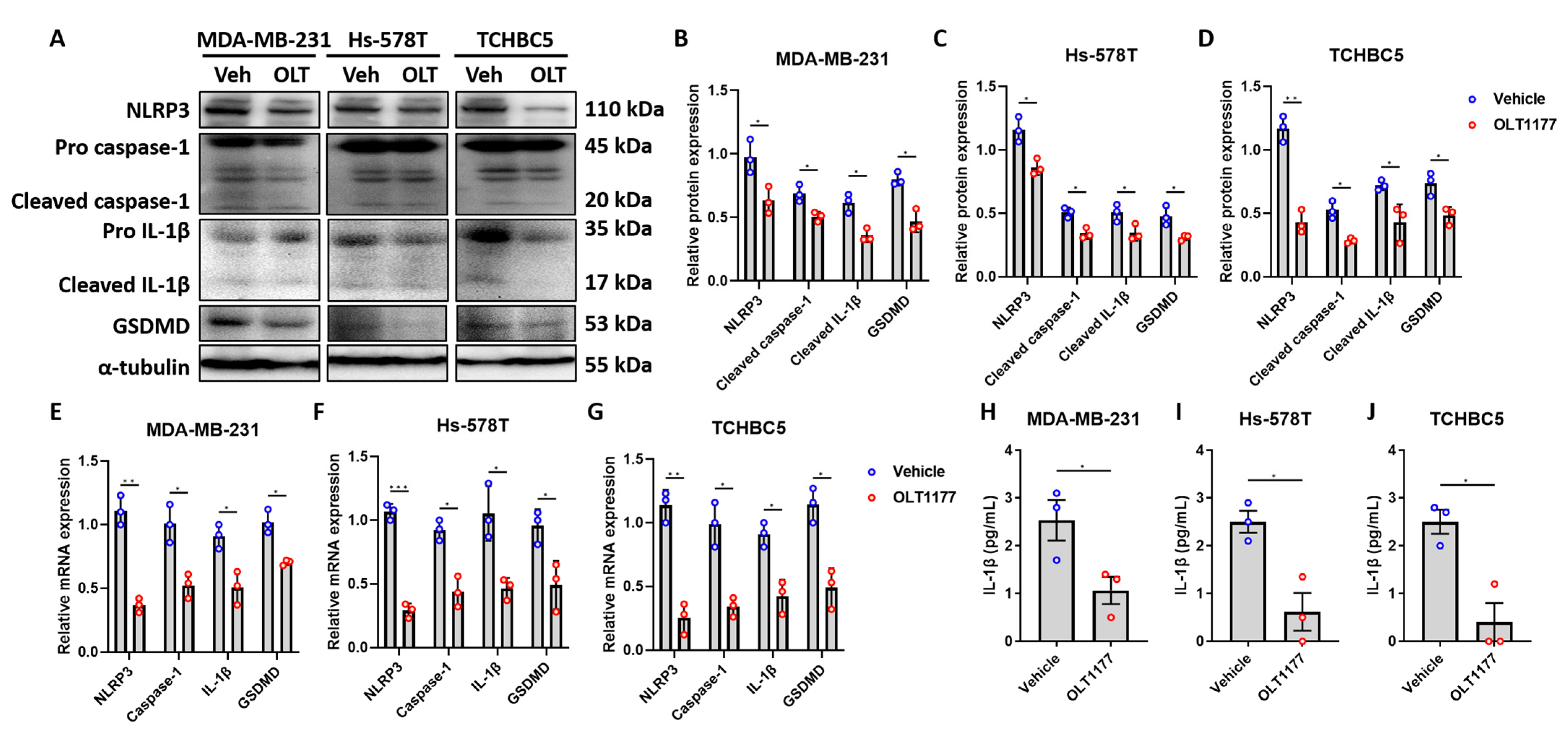 Biomolecules 14 00074 g004