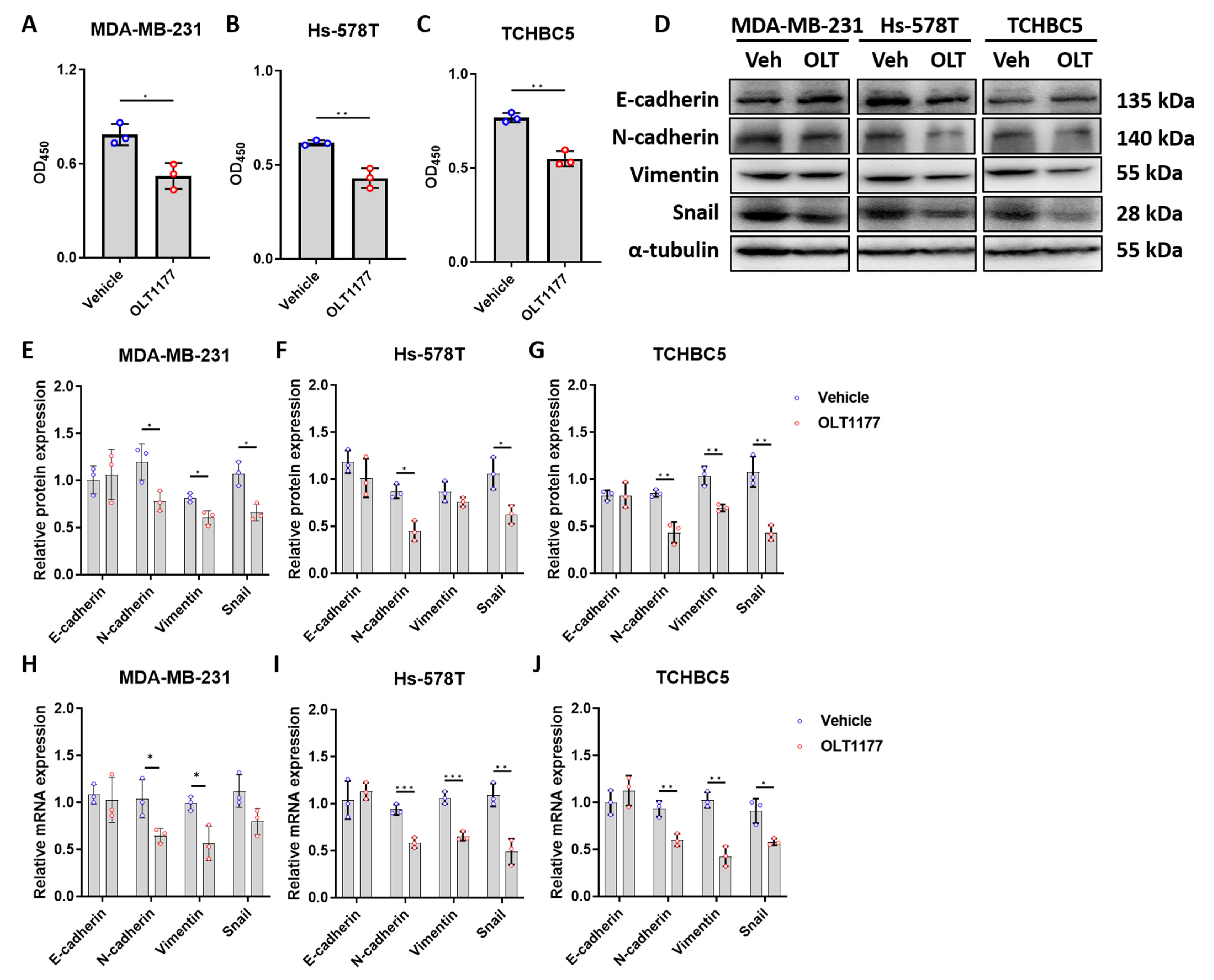 Biomolecules 14 00074 g005