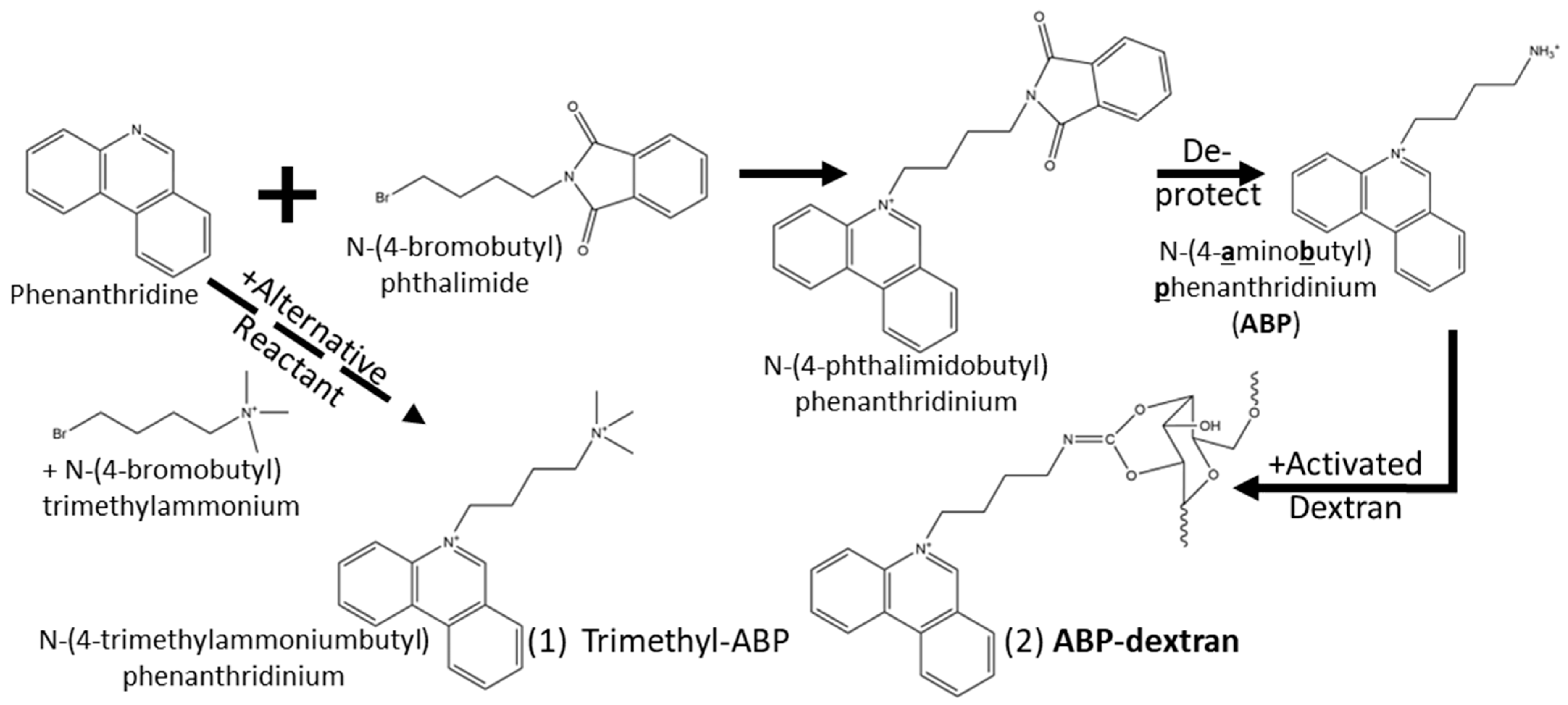 Biomolecules 14 00077 g002