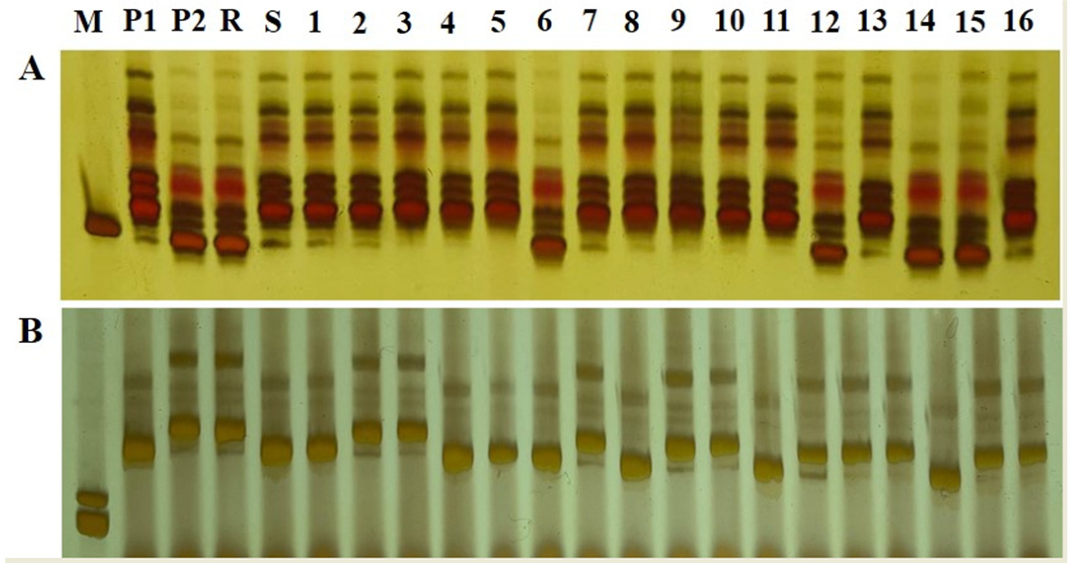 Biomolecules 14 00079 g003