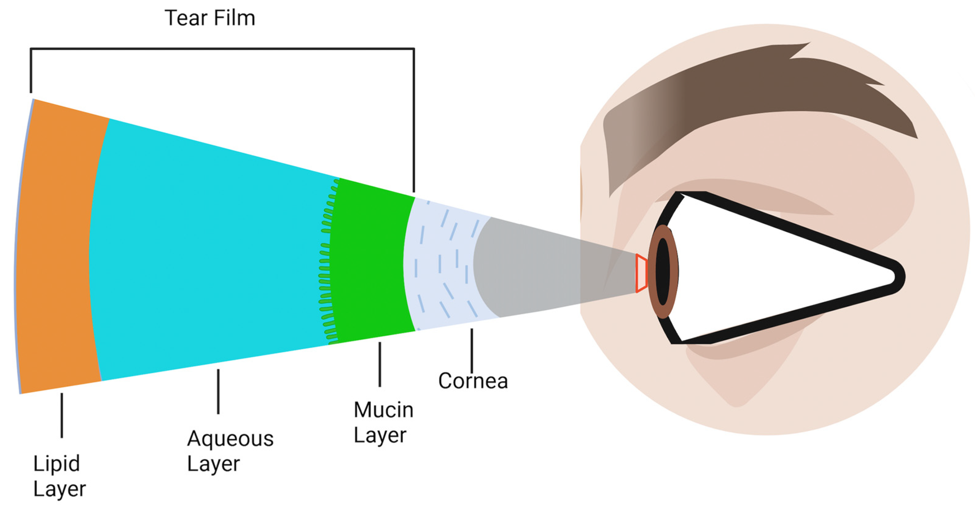 Biomolecules 14 00080 g002 Biomolecules 14 00080 g002