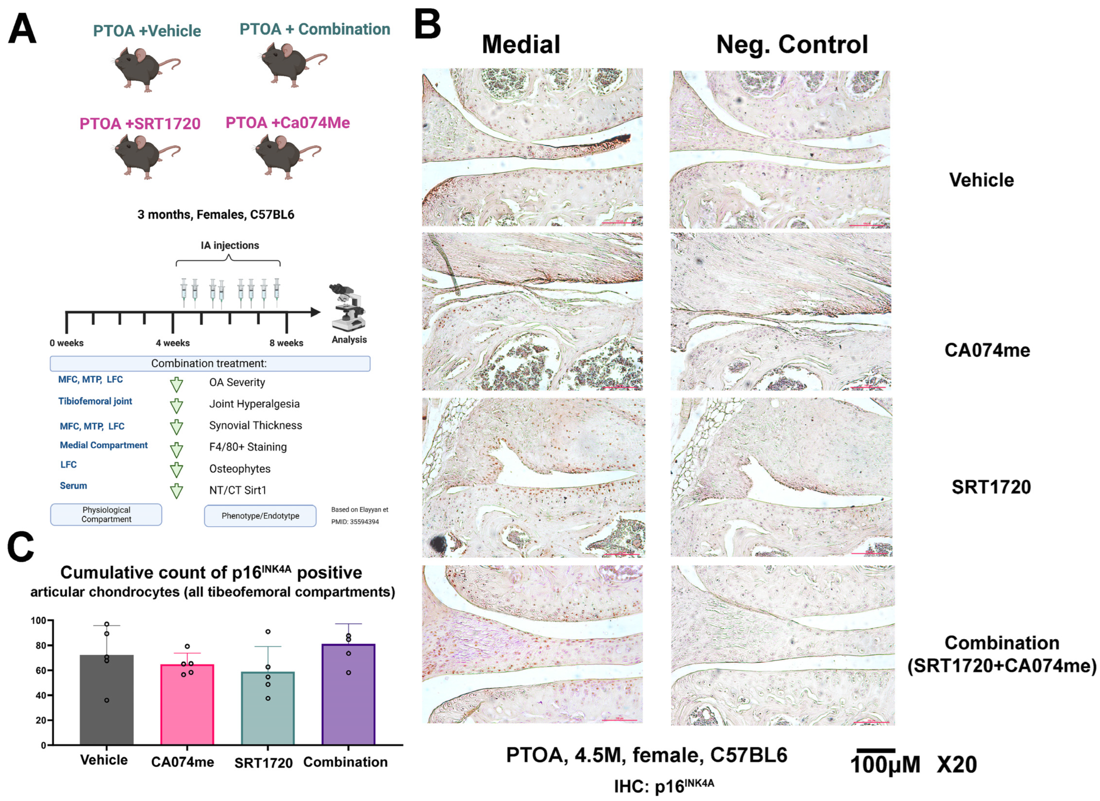 Biomolecules 14 00081 g001