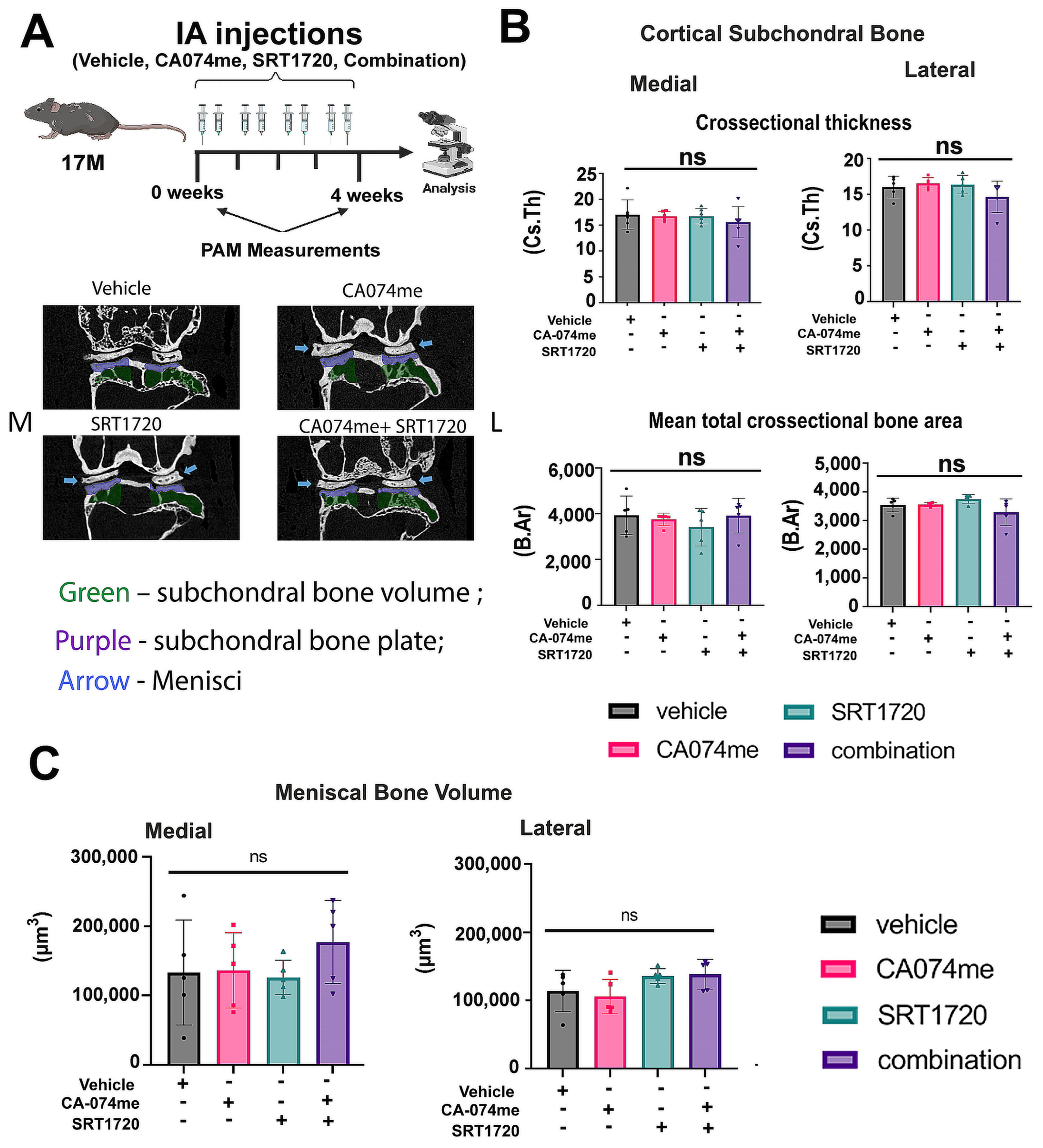 Biomolecules 14 00081 g004