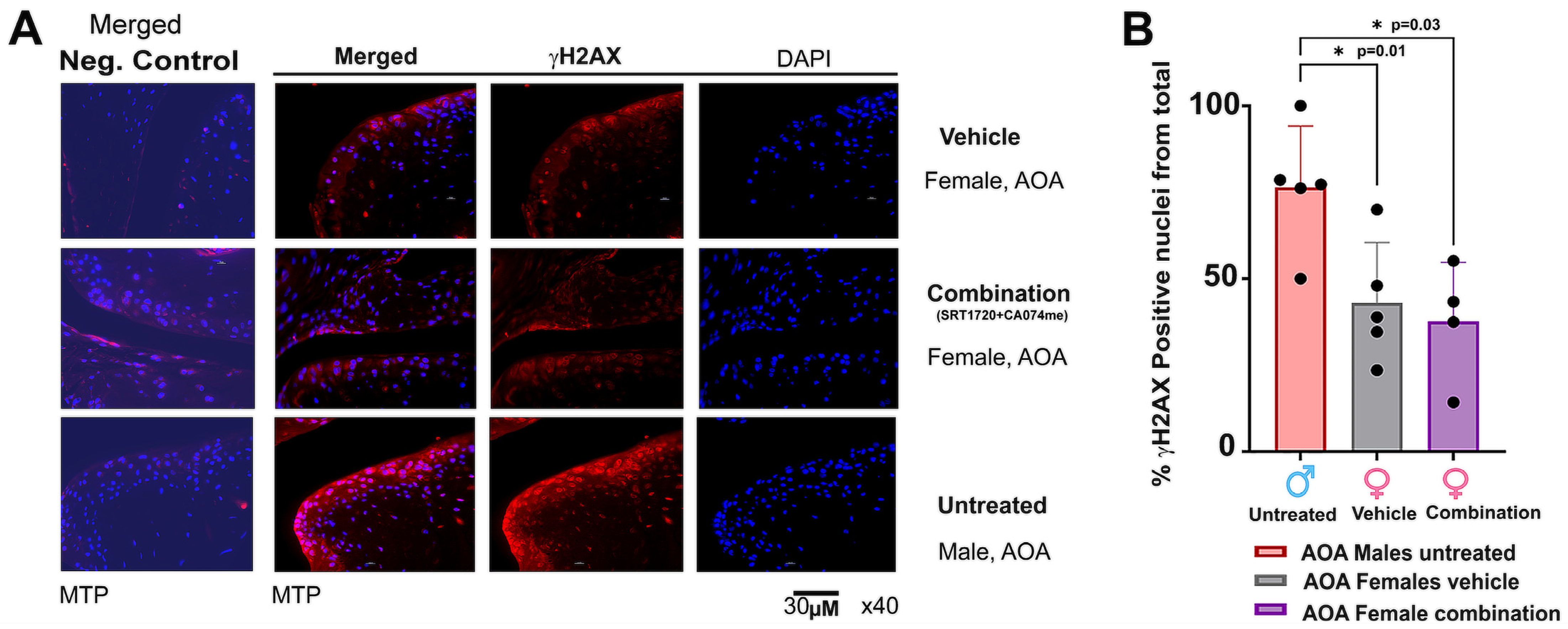 Biomolecules 14 00081 g006