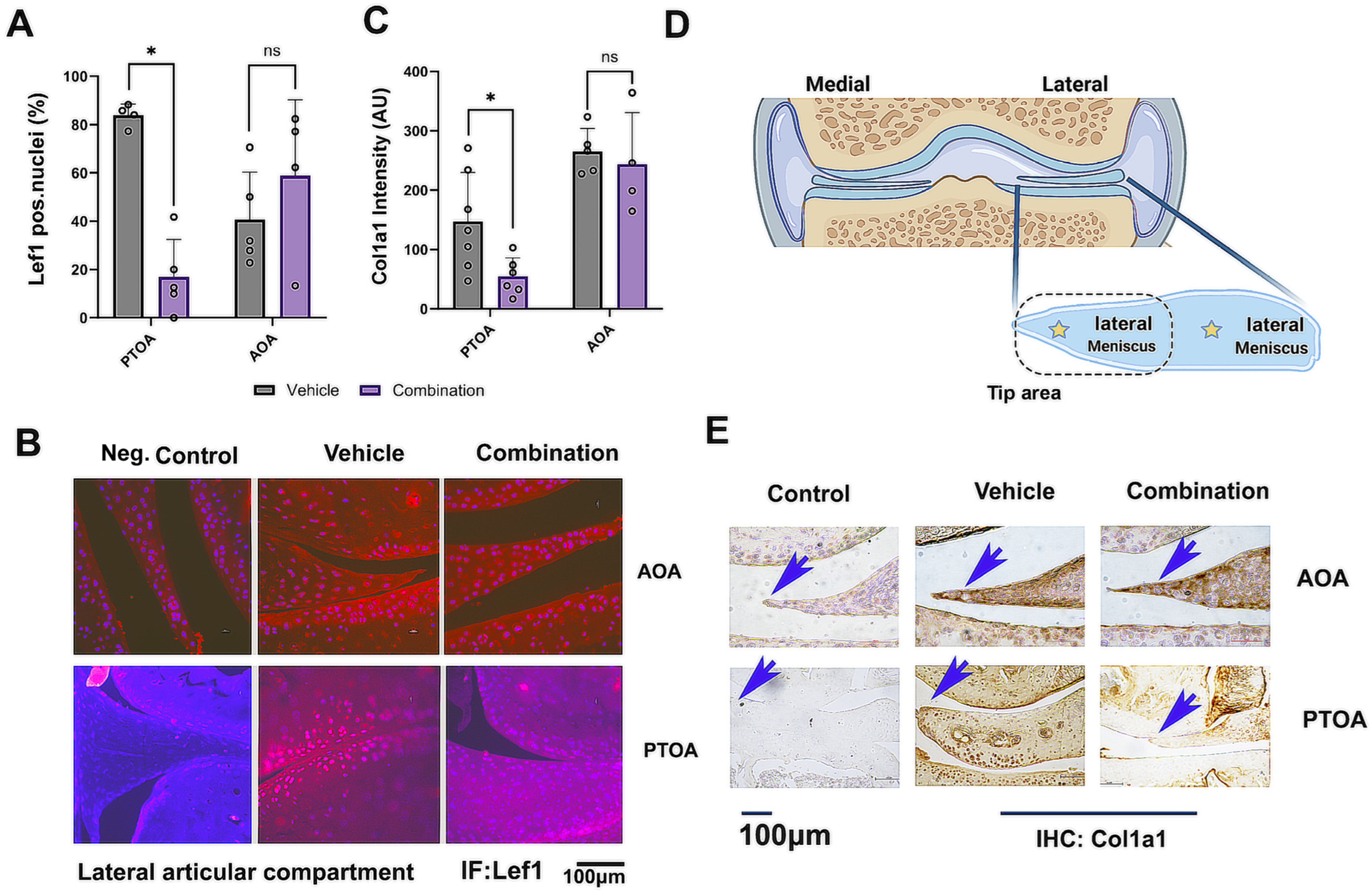 Biomolecules 14 00081 g007
