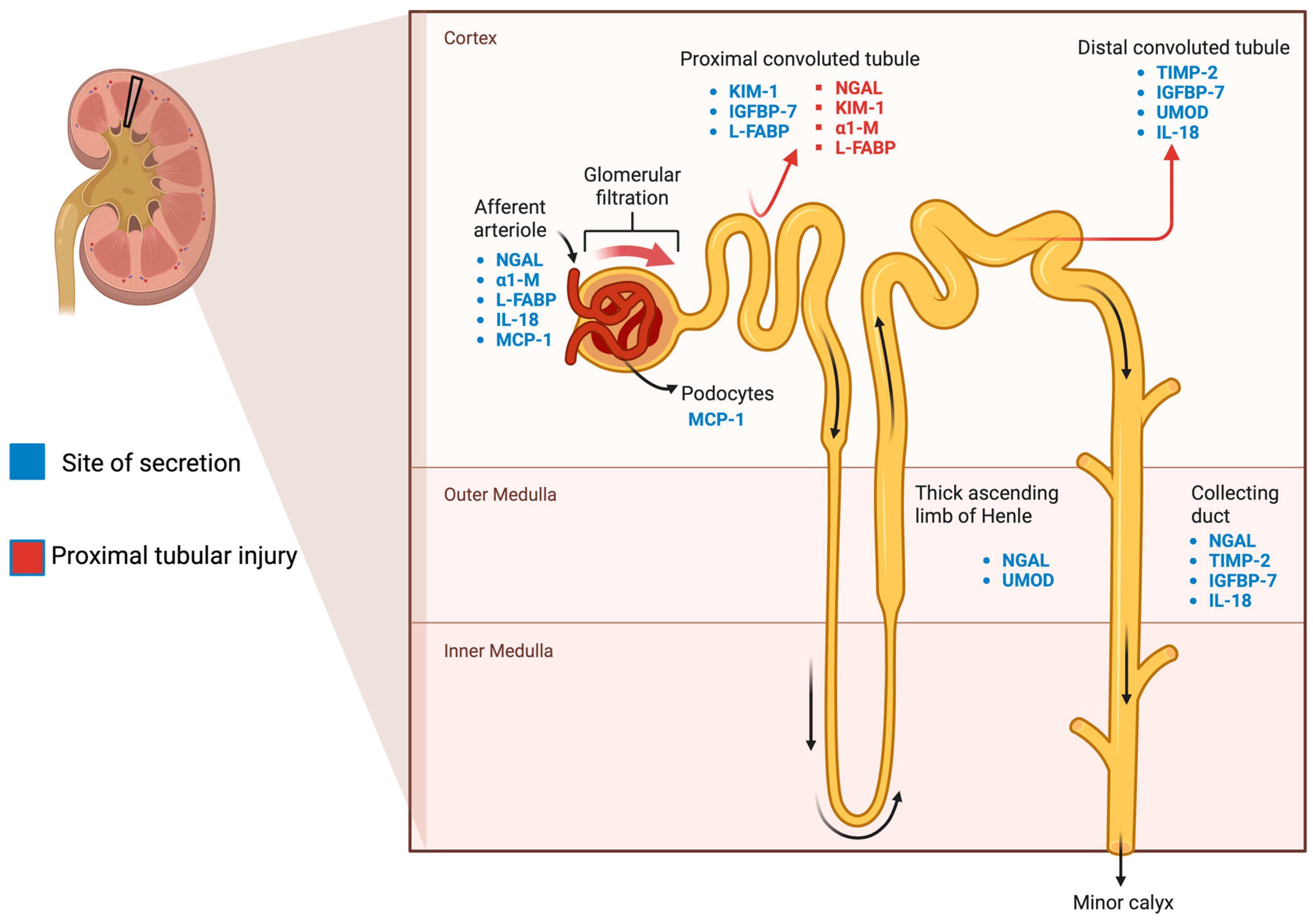 Biomolecules 14 00082 g001