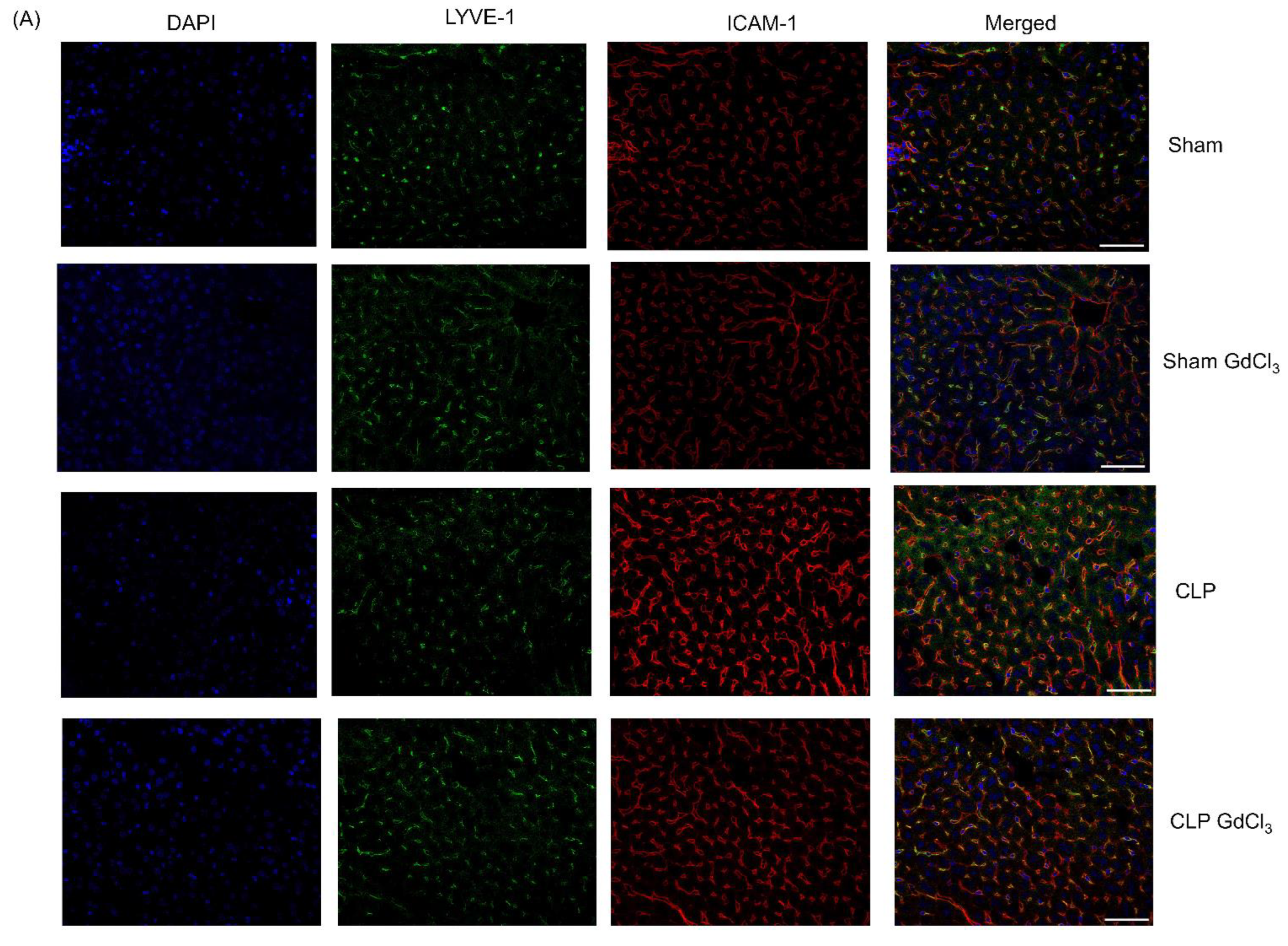 Biomolecules 14 00084 g002a Biomolecules 14 00084 g002a