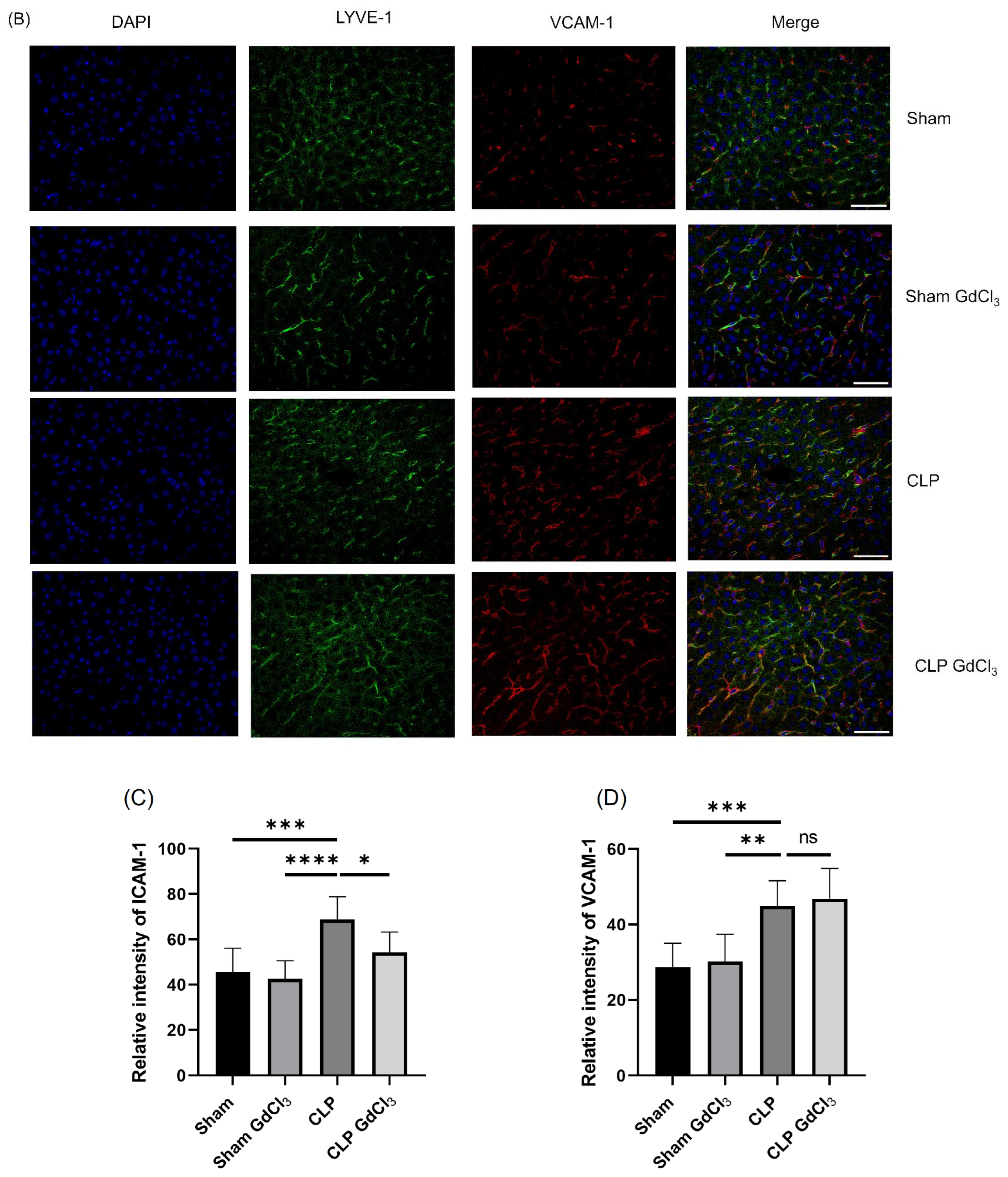 Biomolecules 14 00084 g002b Biomolecules 14 00084 g002b