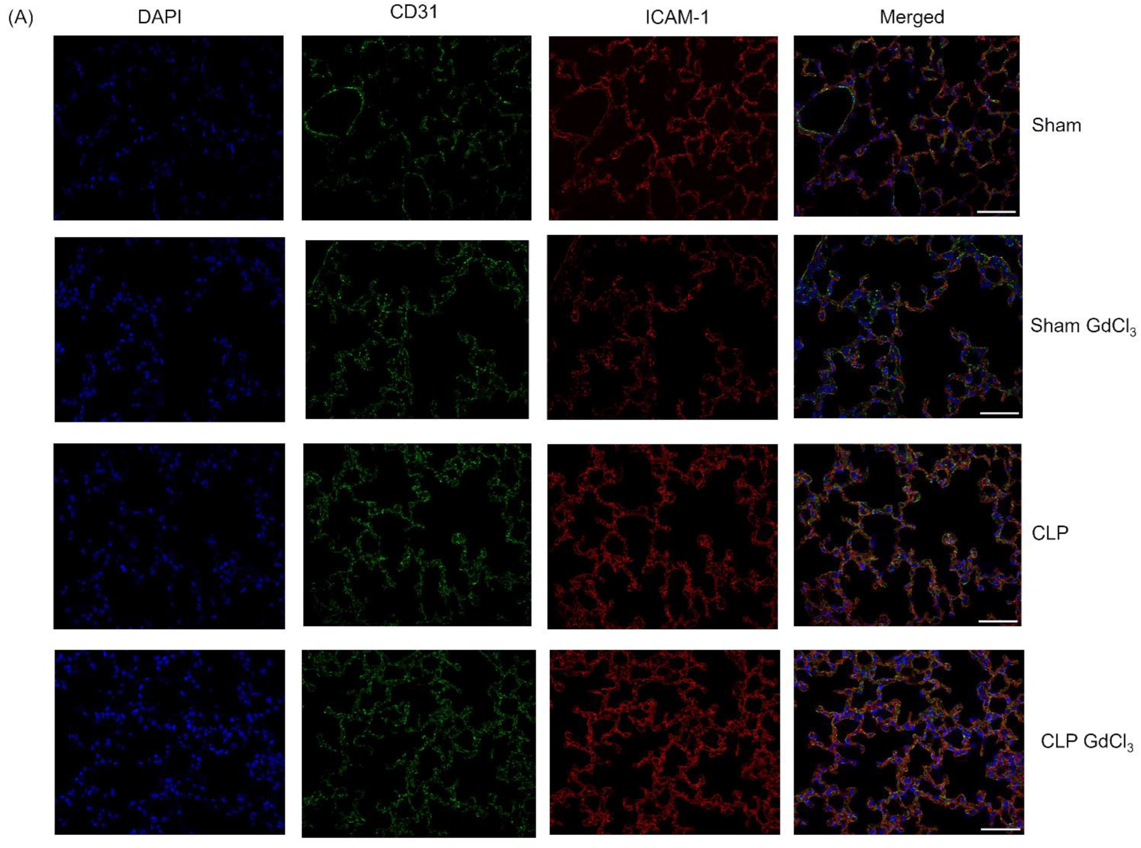 Biomolecules 14 00084 g003a Biomolecules 14 00084 g003a