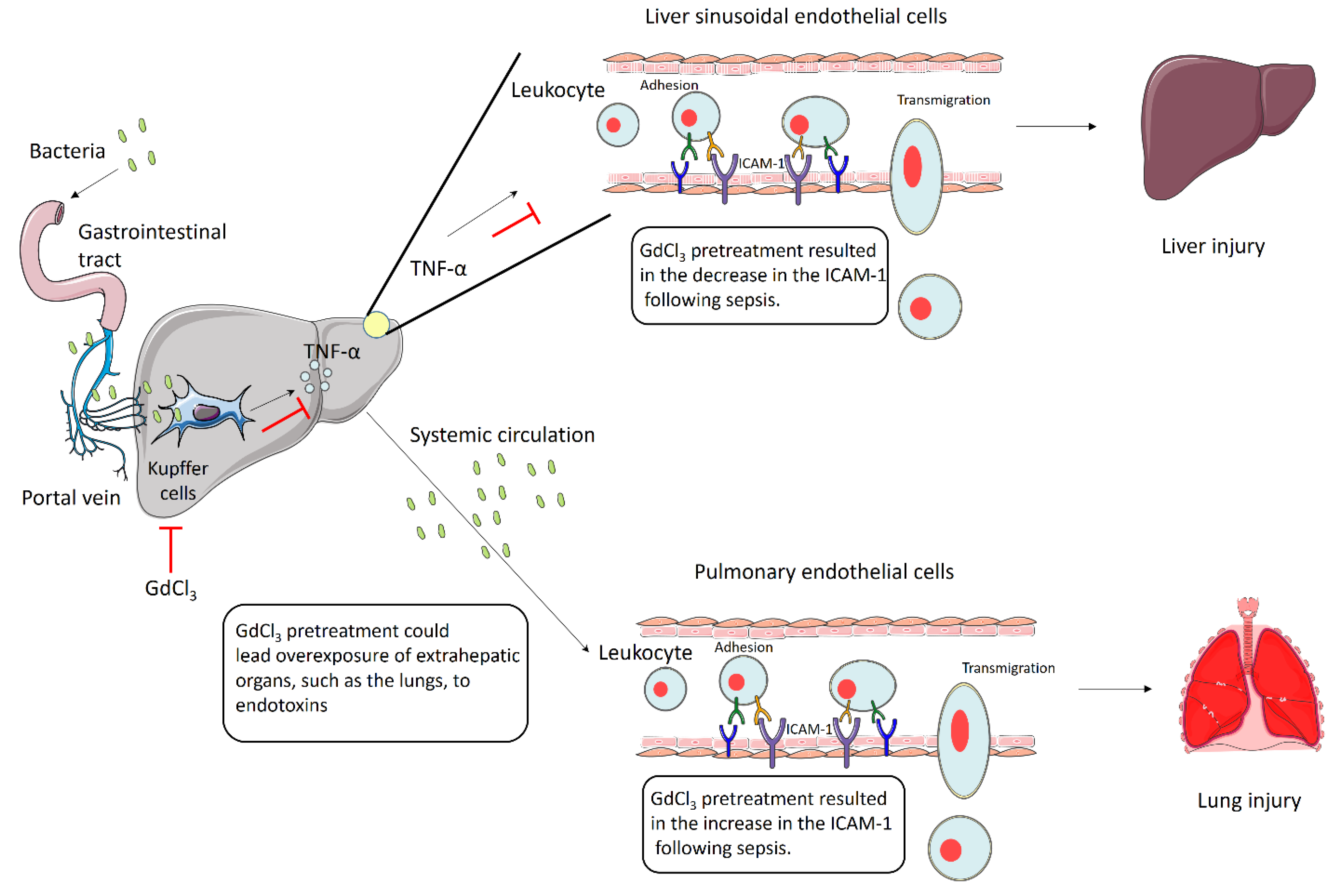 Biomolecules 14 00084 g004 Biomolecules 14 00084 g004