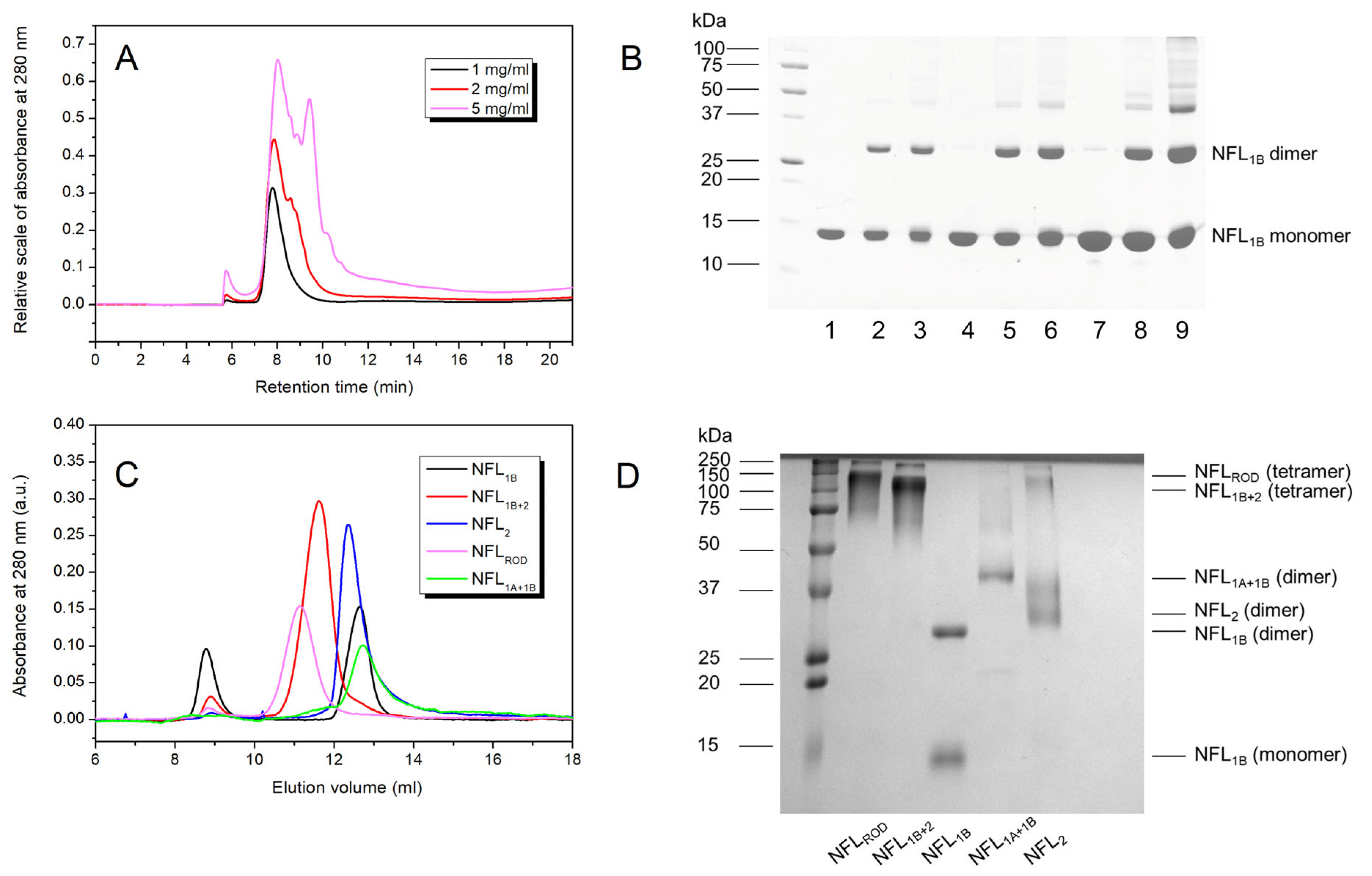 Biomolecules 14 00085 g010