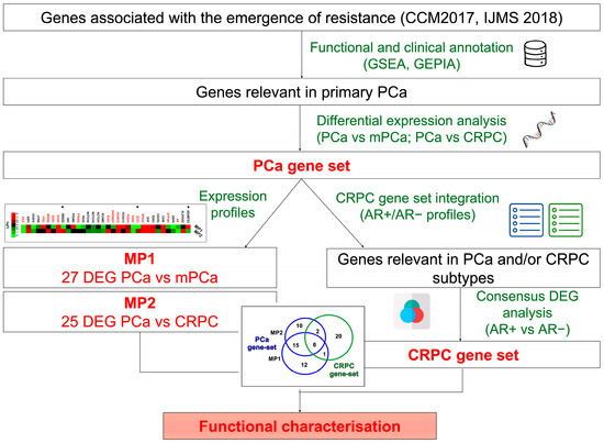 Identification of Molecular Markers Associated with Prostate
