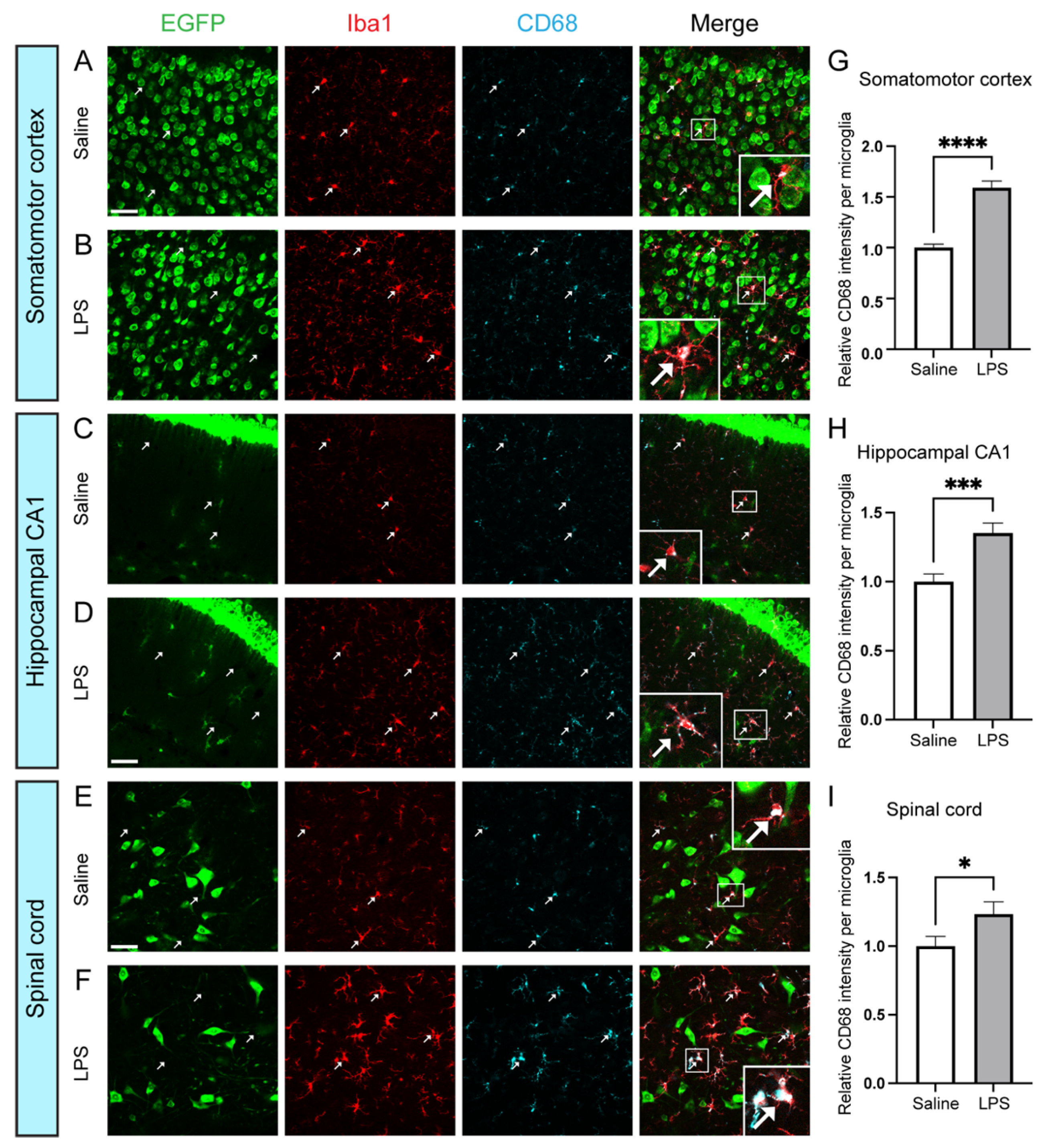 Biomolecules 14 00091 g002