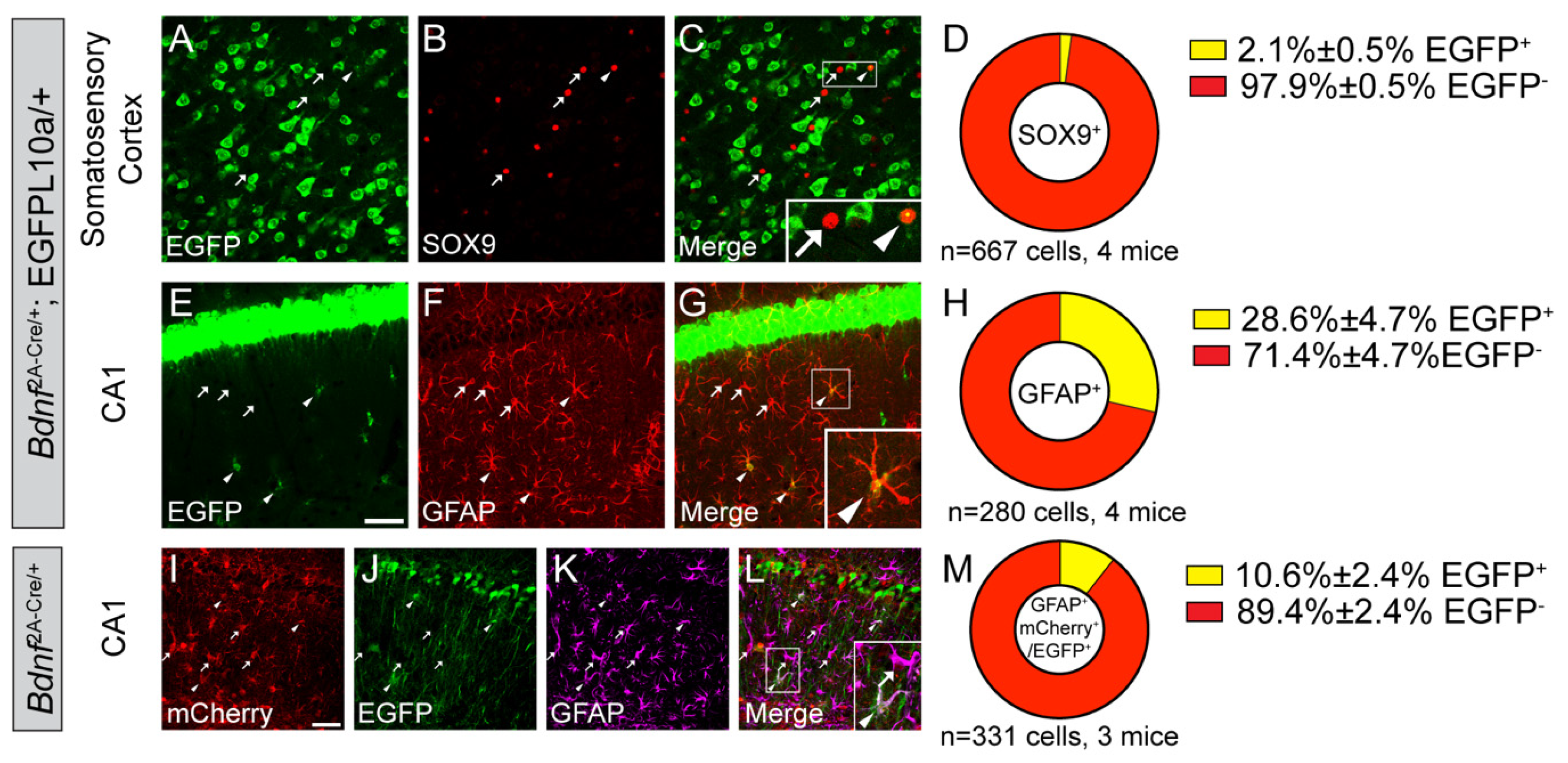 Biomolecules 14 00091 g003