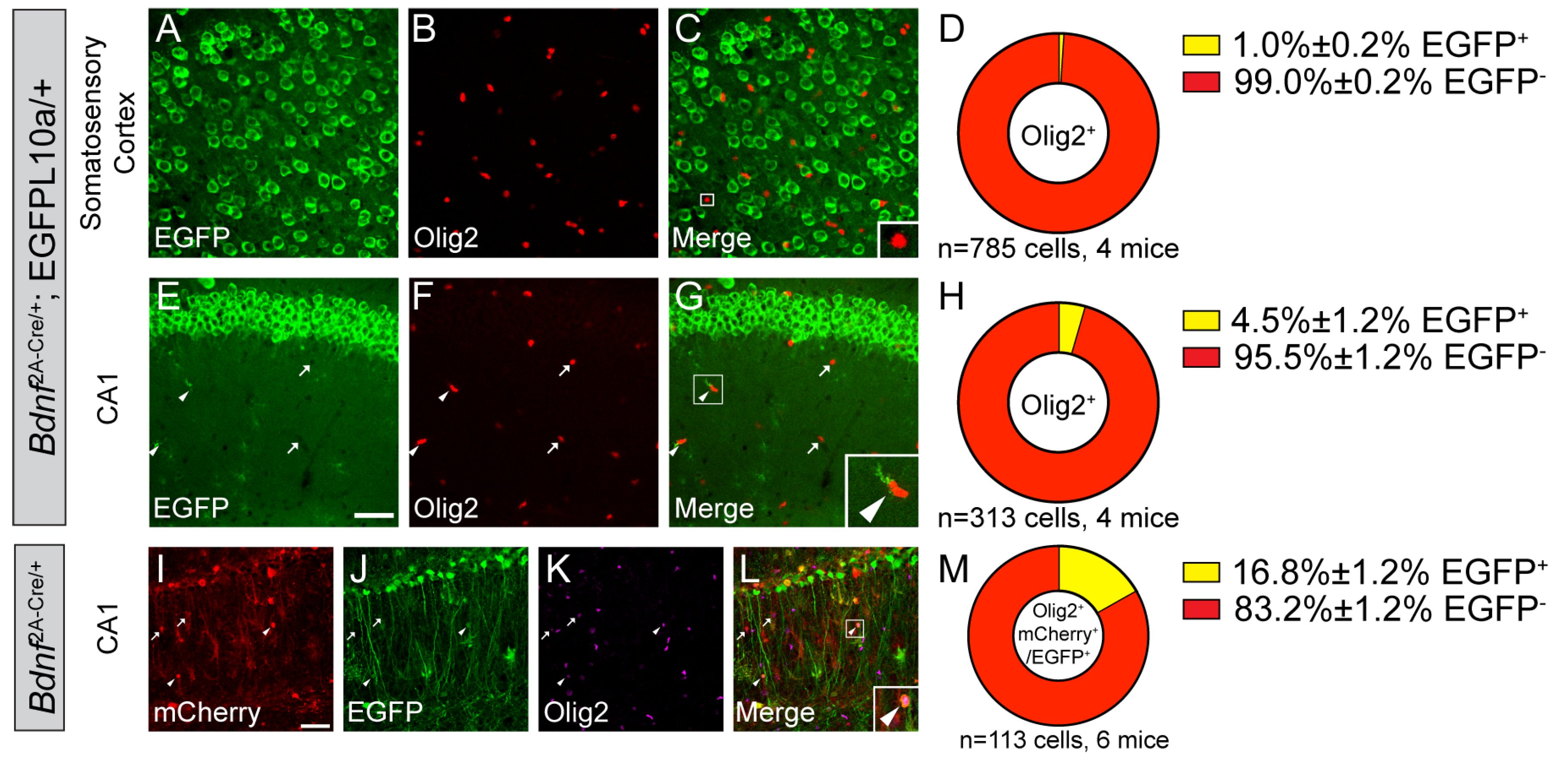 Biomolecules 14 00091 g004