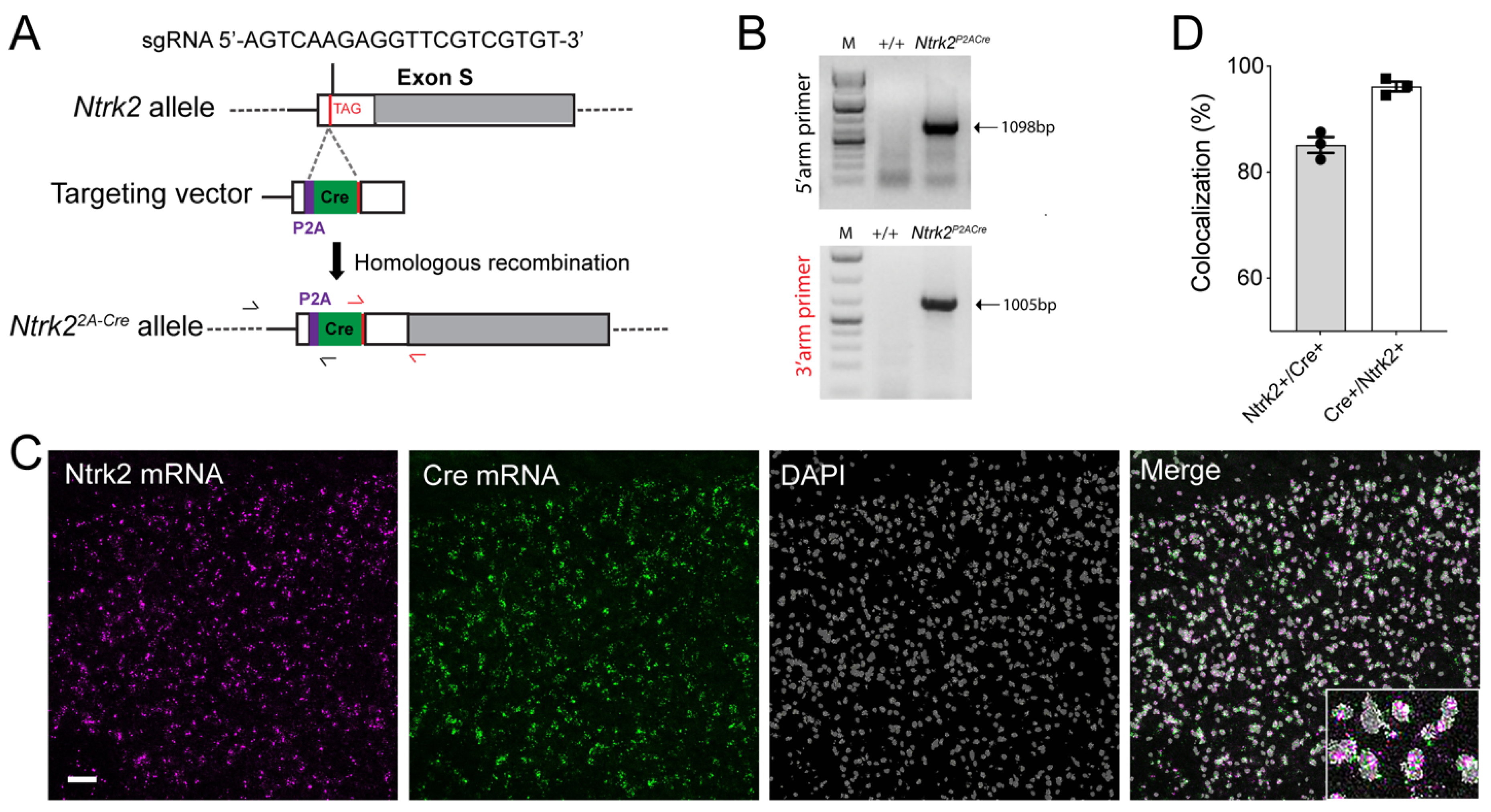Biomolecules 14 00091 g005