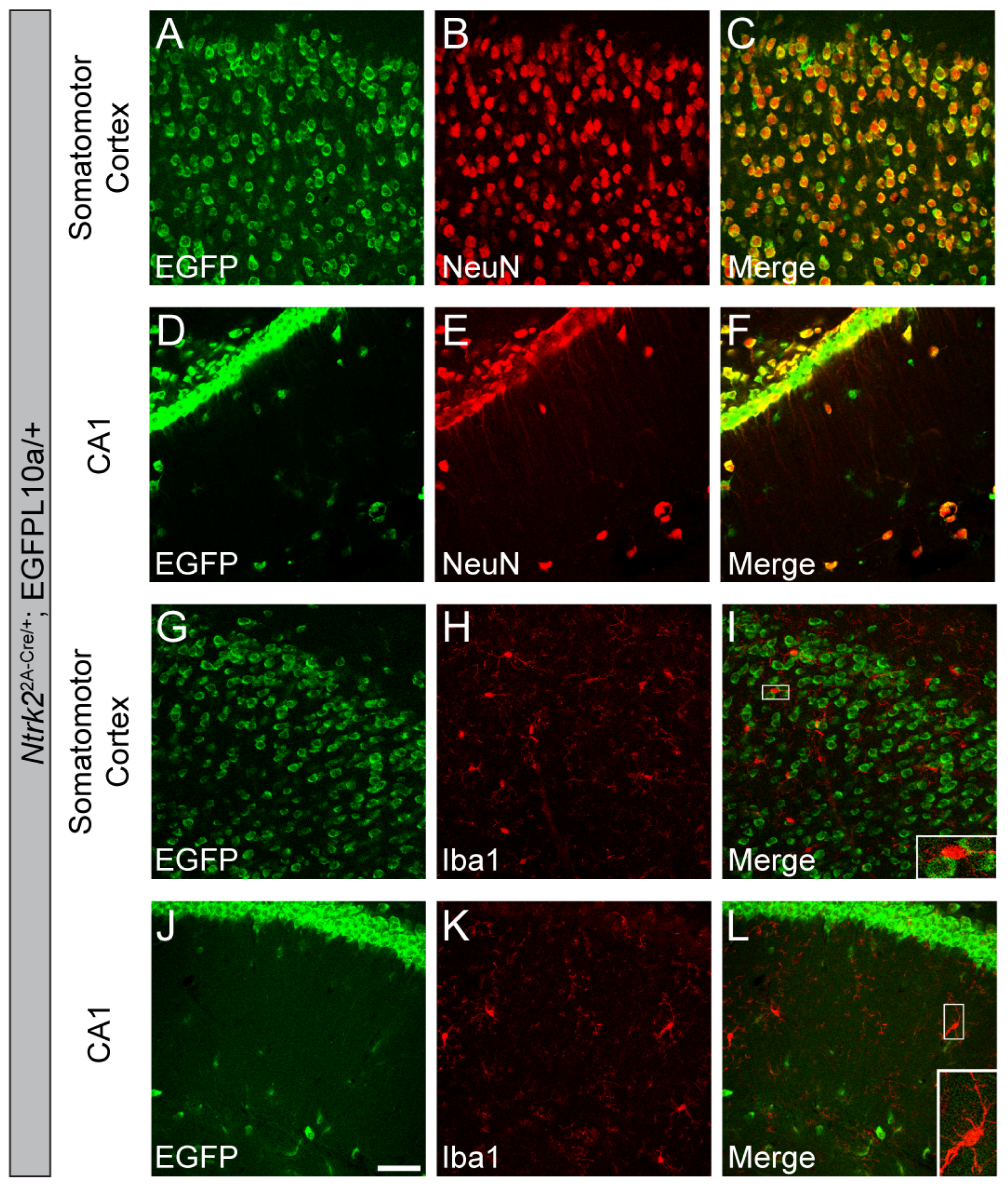 Biomolecules 14 00091 g006