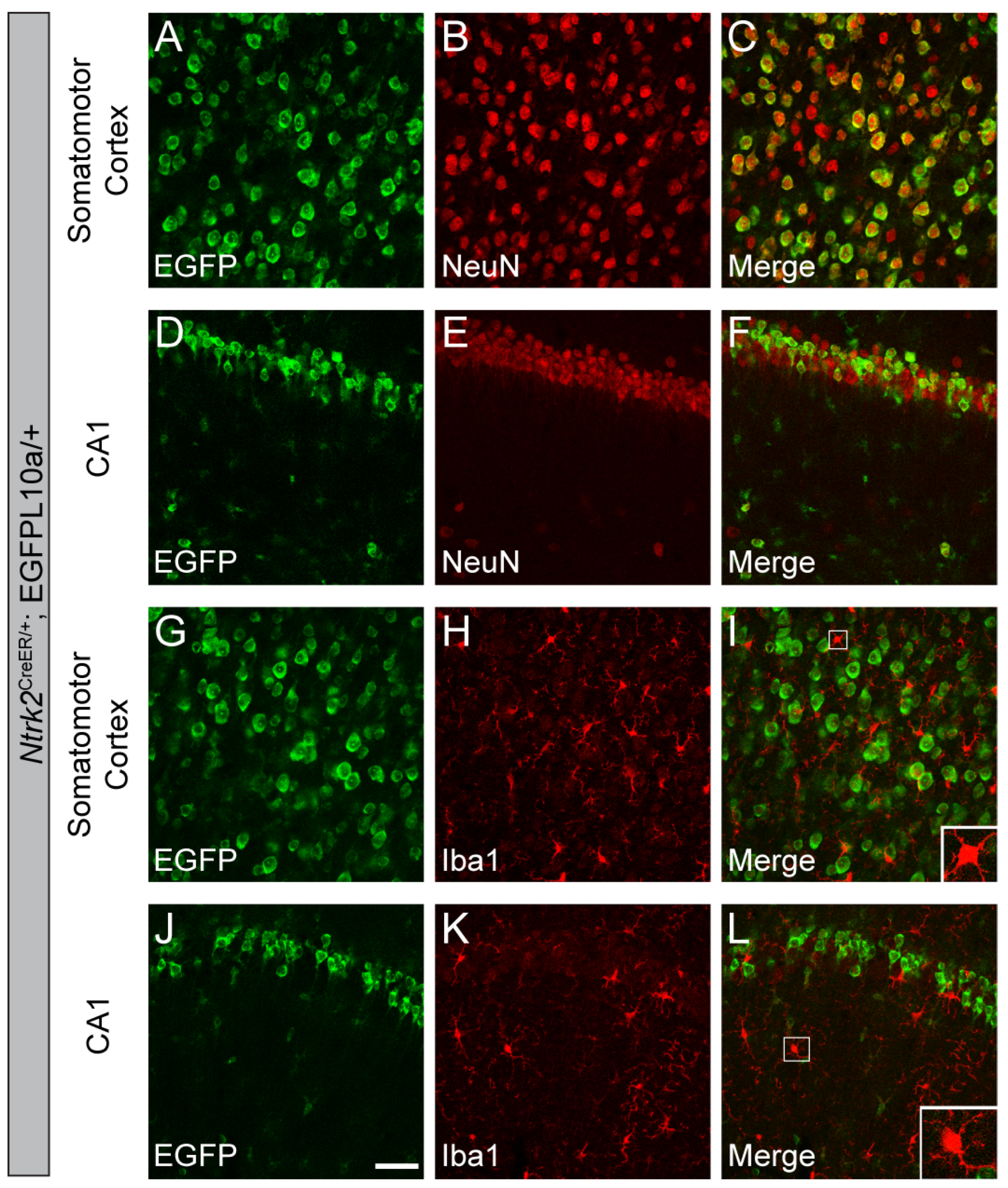 Biomolecules 14 00091 g007