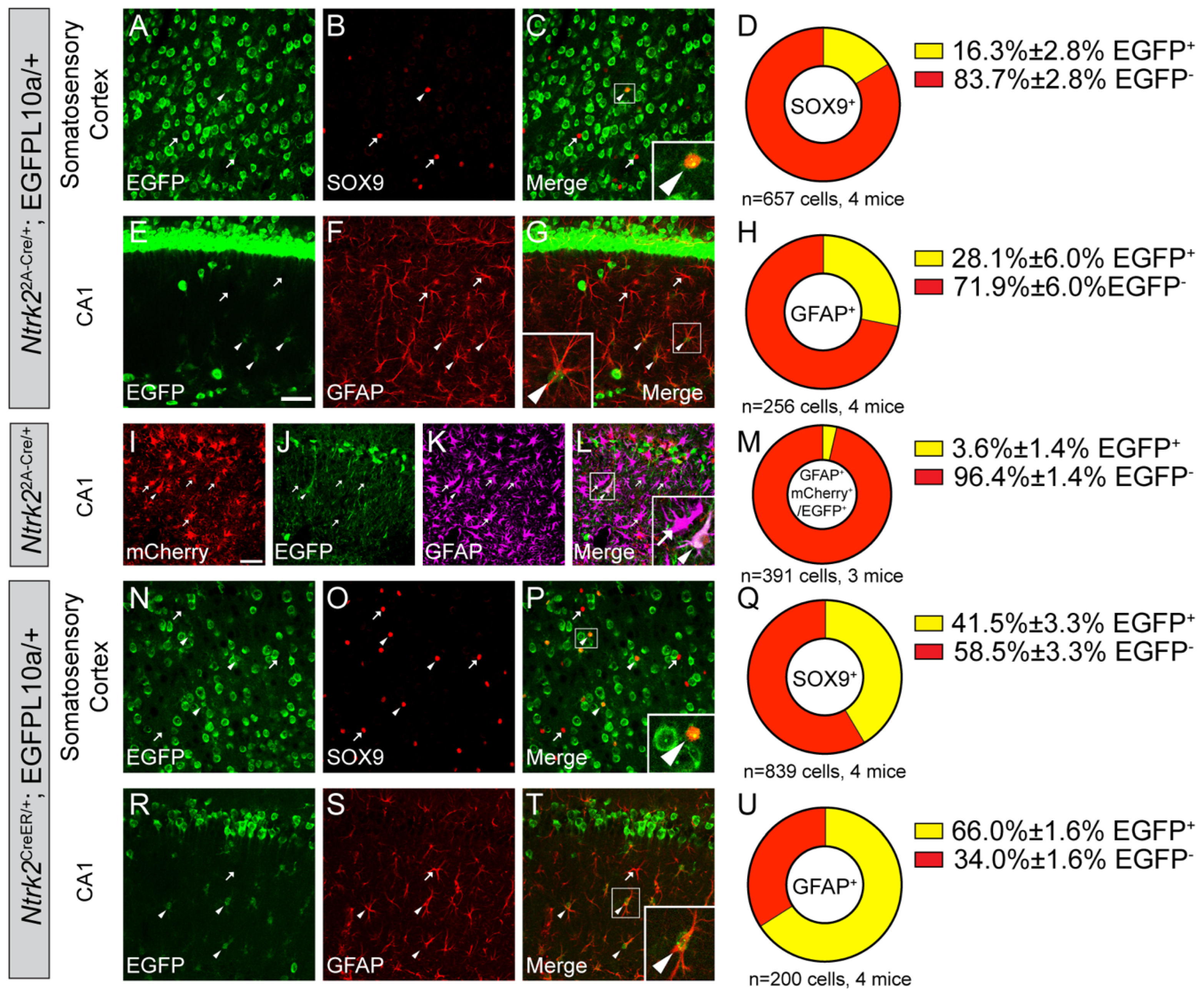 Biomolecules 14 00091 g008