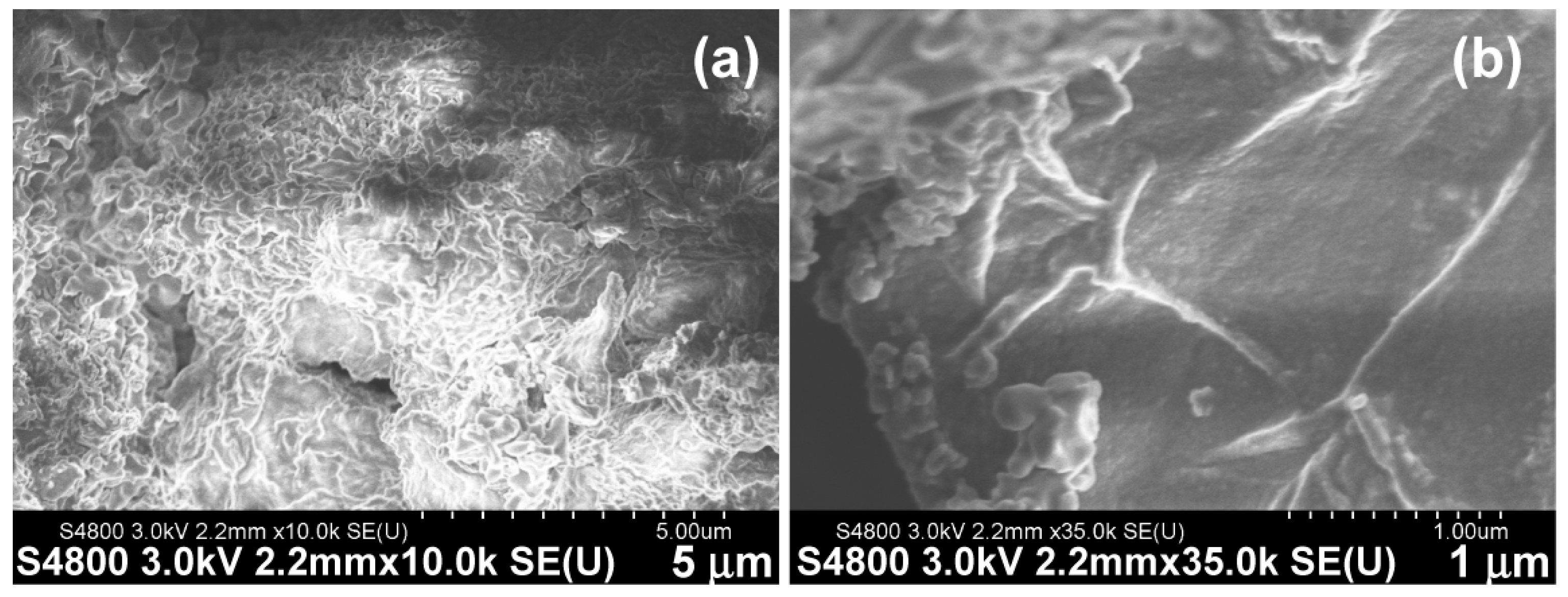 Biomolecules 14 00094 g006