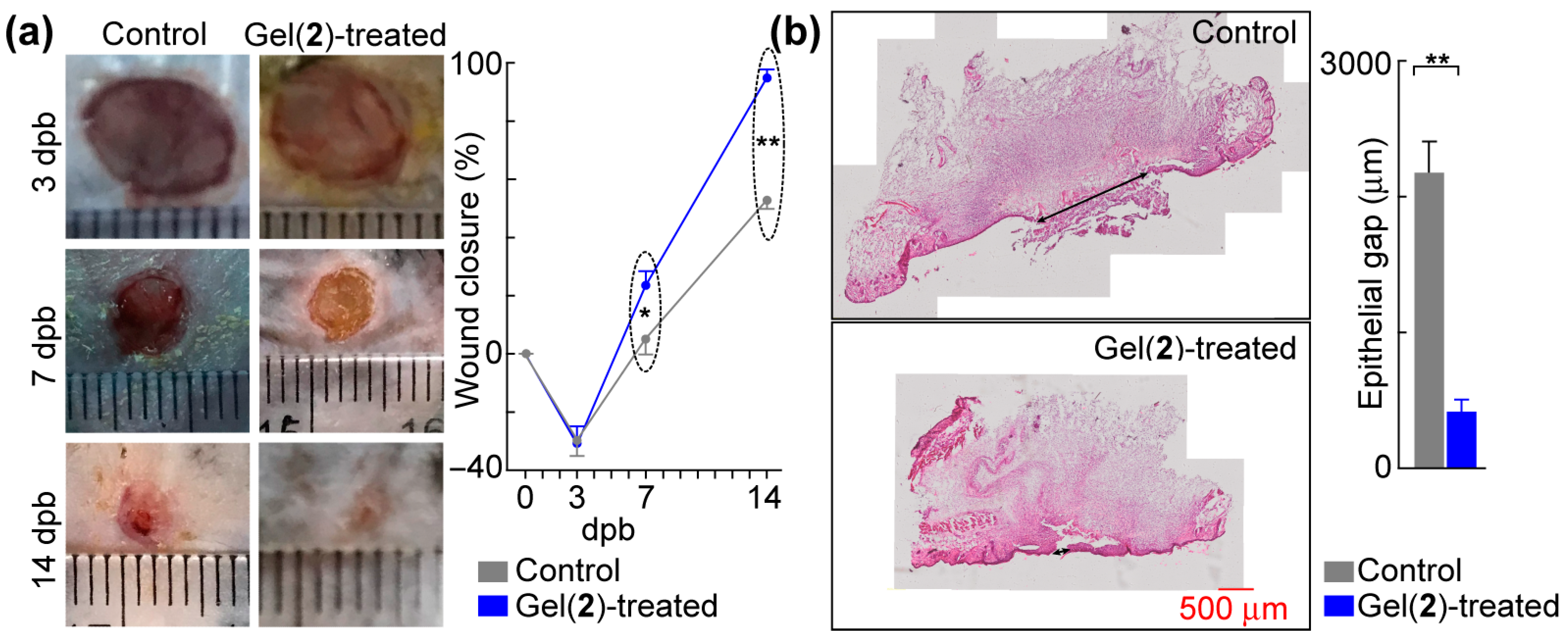 Biomolecules 14 00094 g007