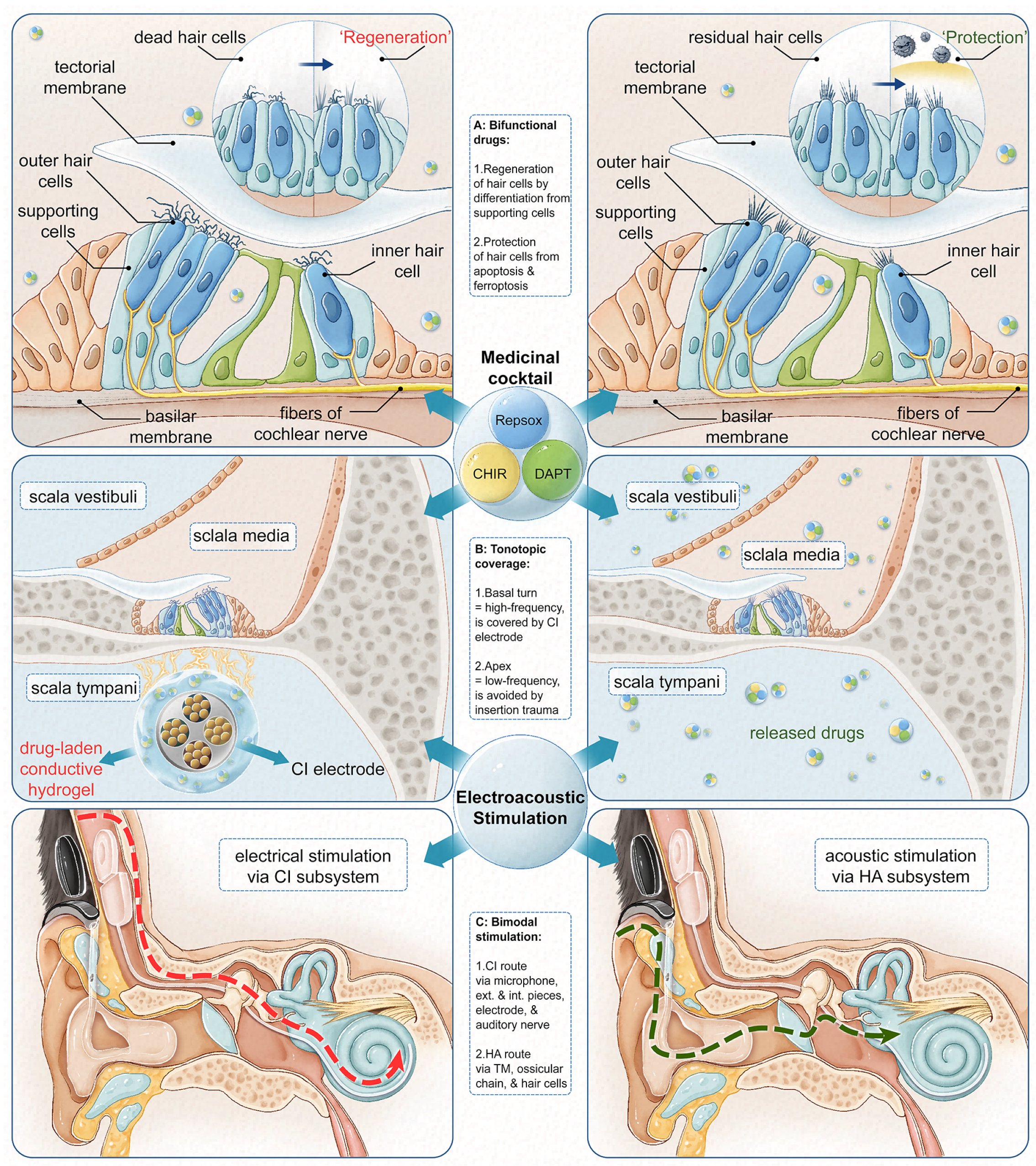 Biomolecules 14 00095 g001