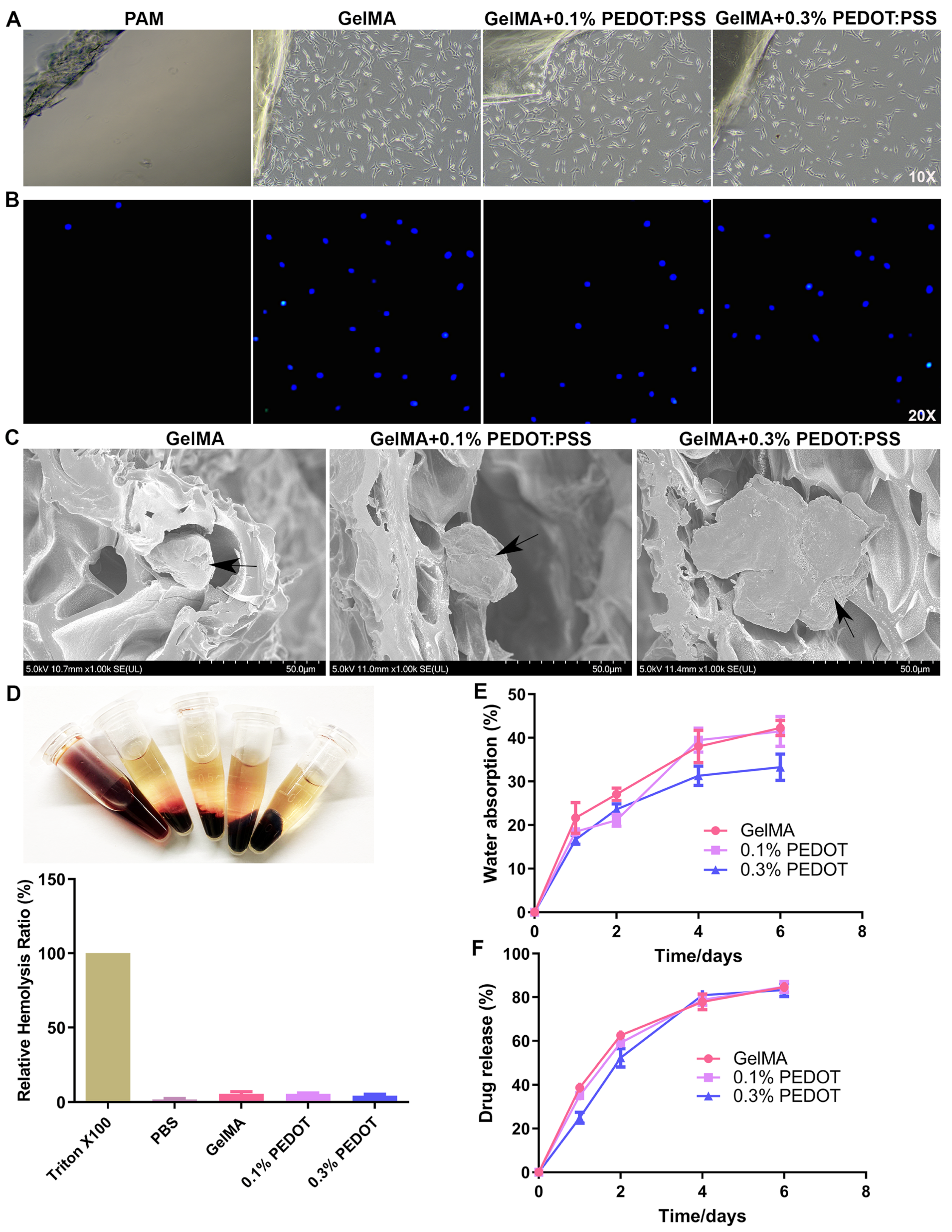Biomolecules 14 00095 g004