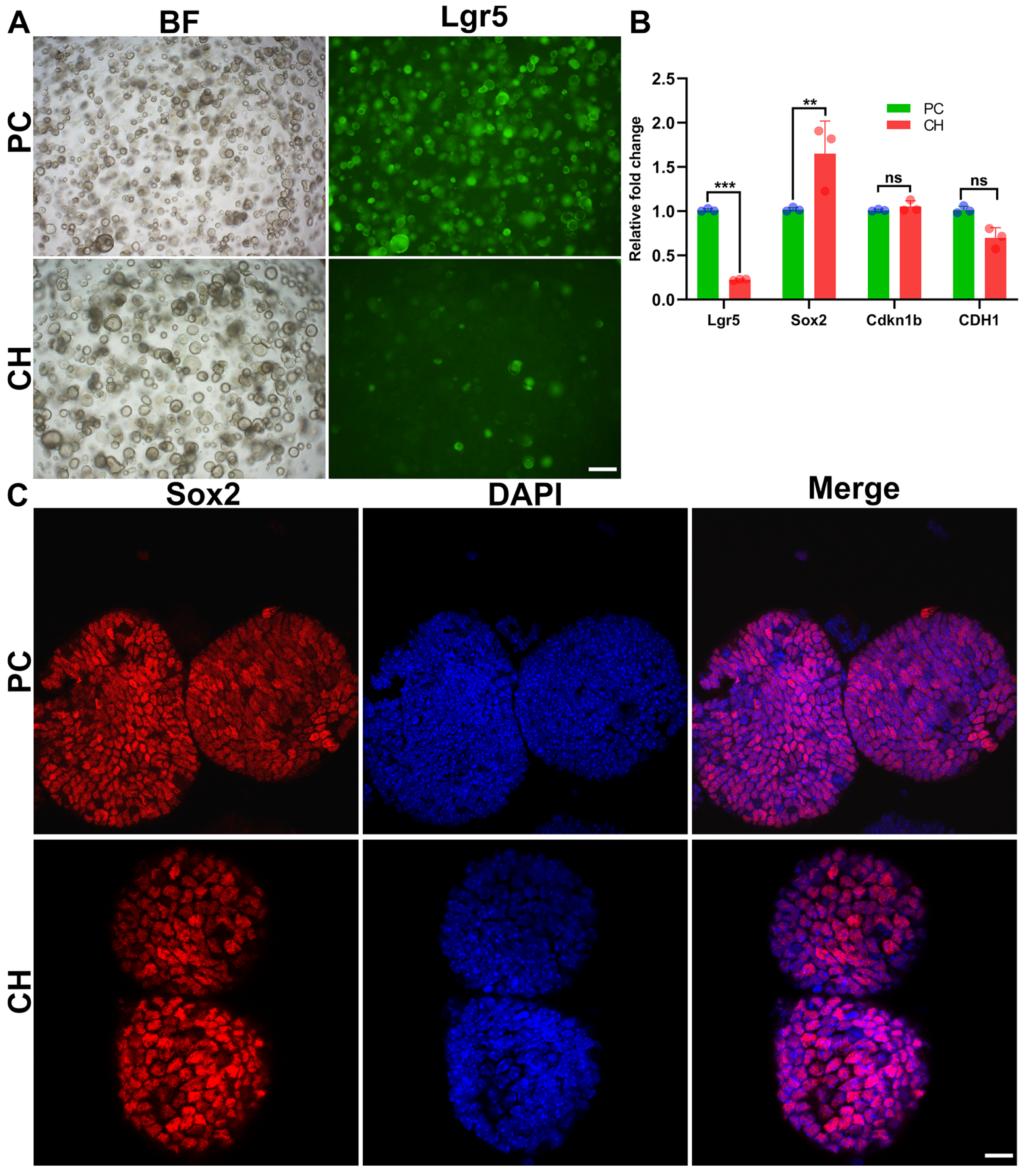 Biomolecules 14 00095 g006