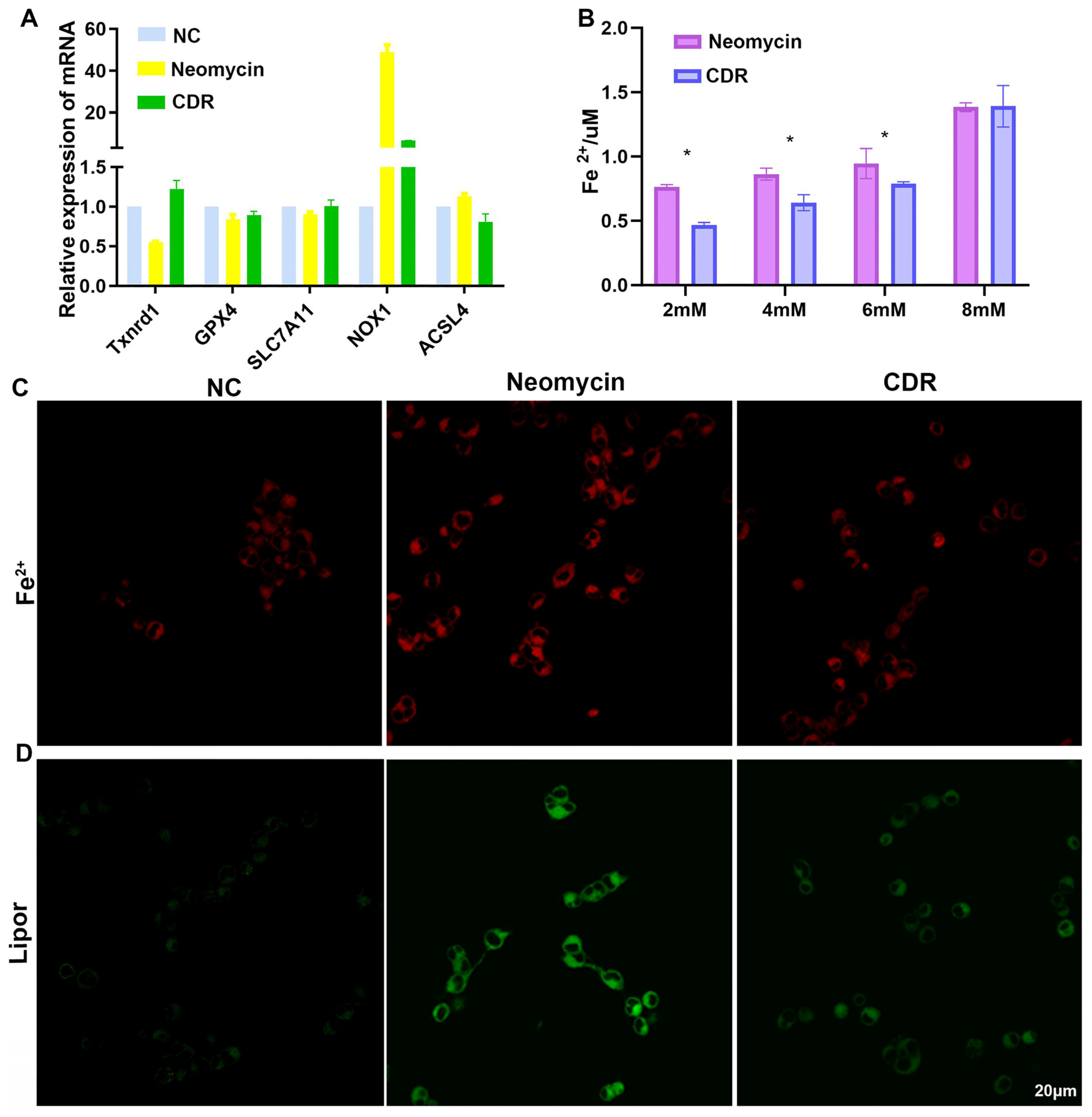 Biomolecules 14 00095 g009