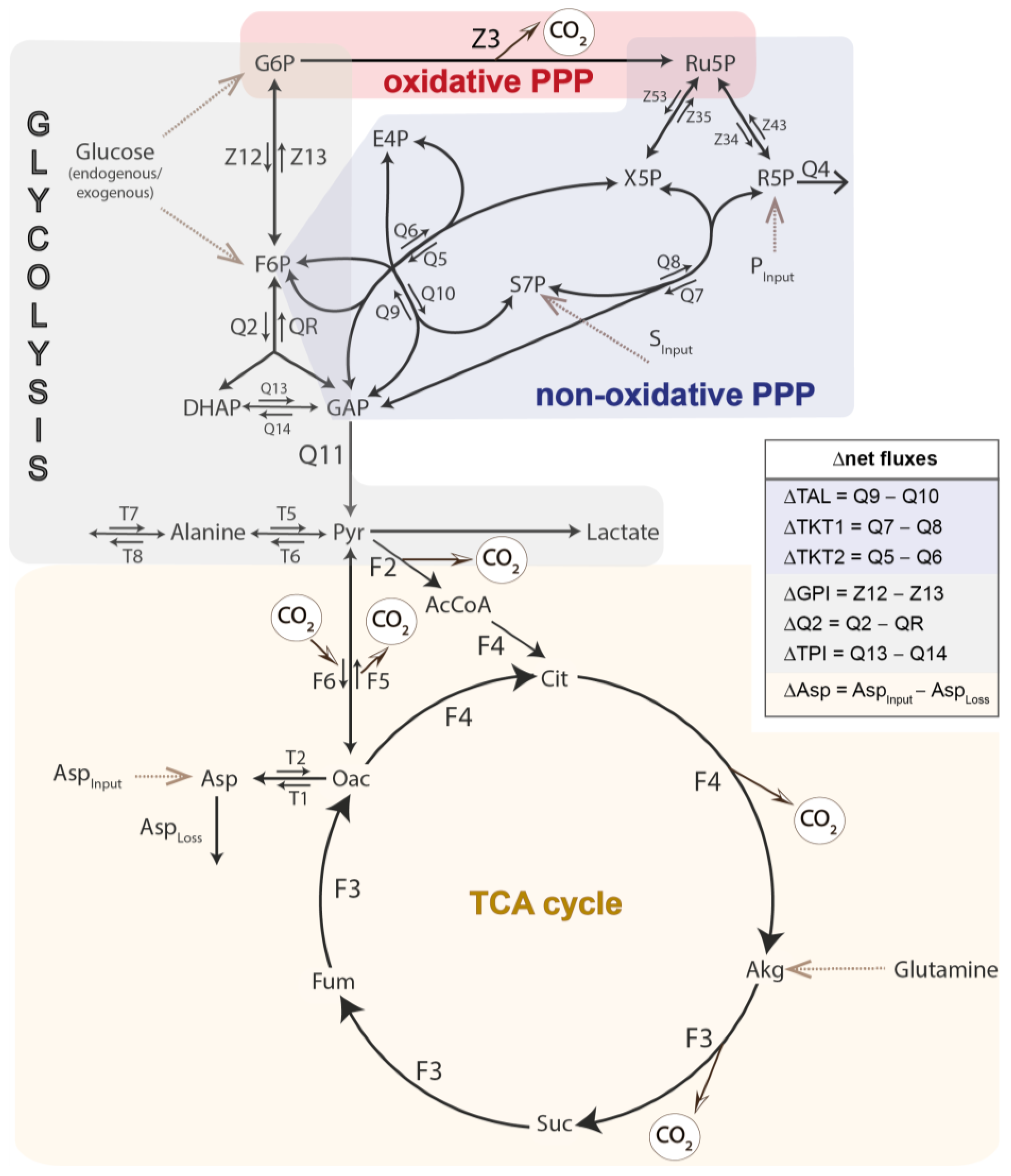 Biomolecules 14 00098 g001 Biomolecules 14 00098 g001