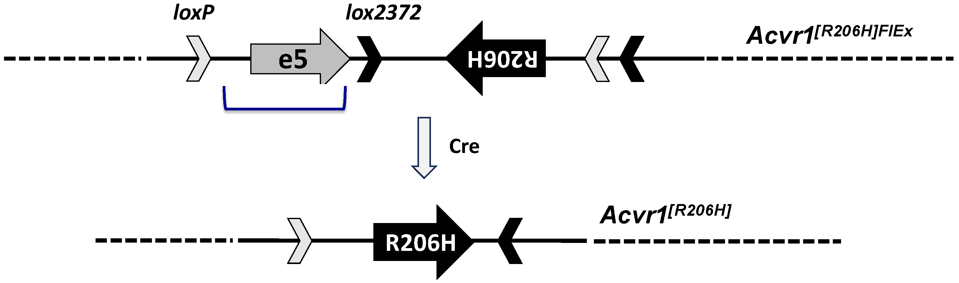 Biomolecules 14 00101 g001
