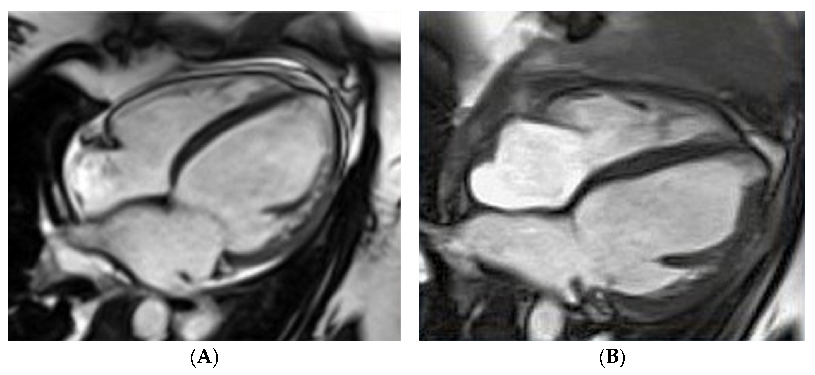 Biomolecules 14 00103 g002 Biomolecules 14 00103 g002