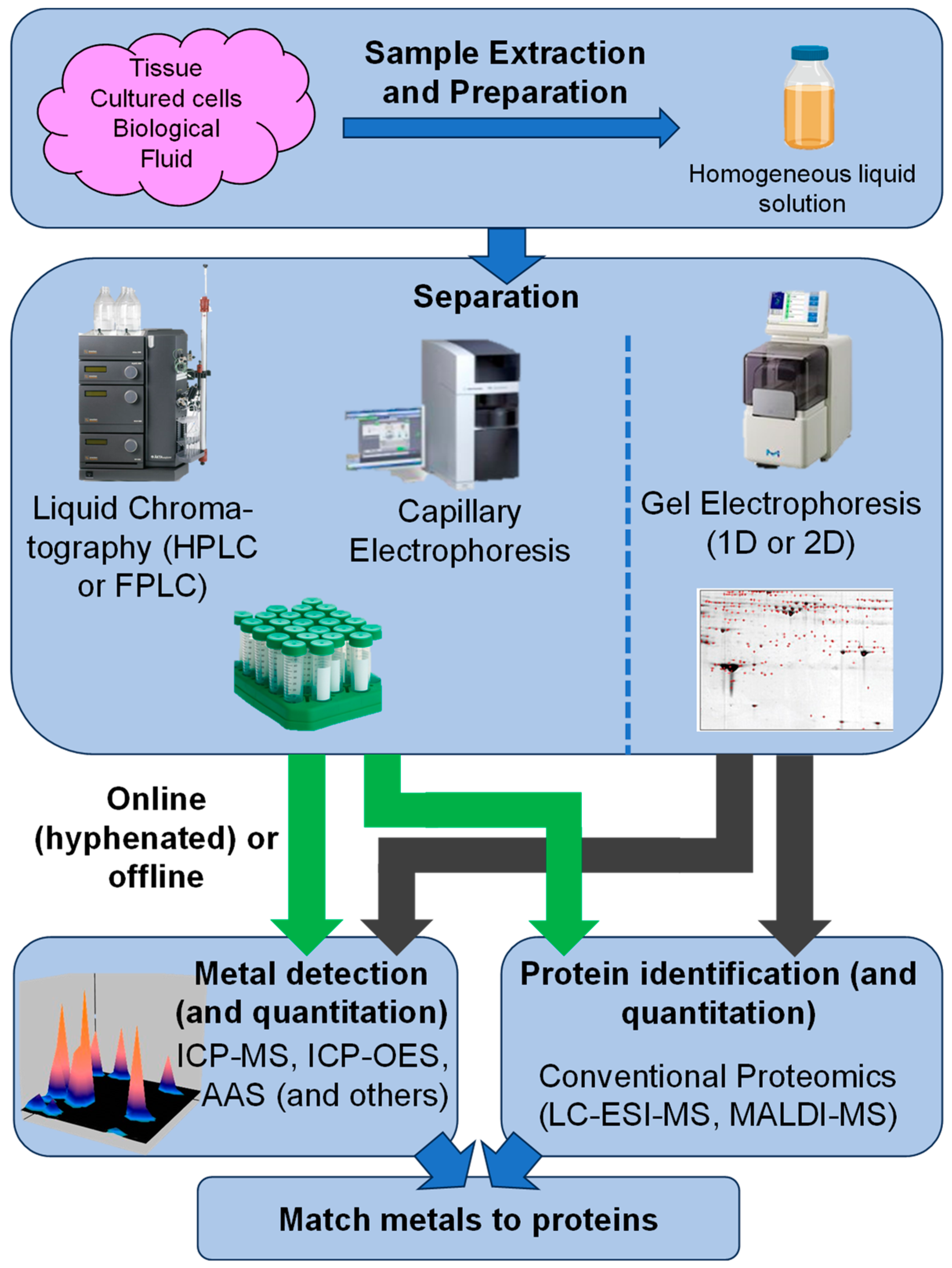 Biomolecules 14 00104 g002 Biomolecules 14 00104 g002
