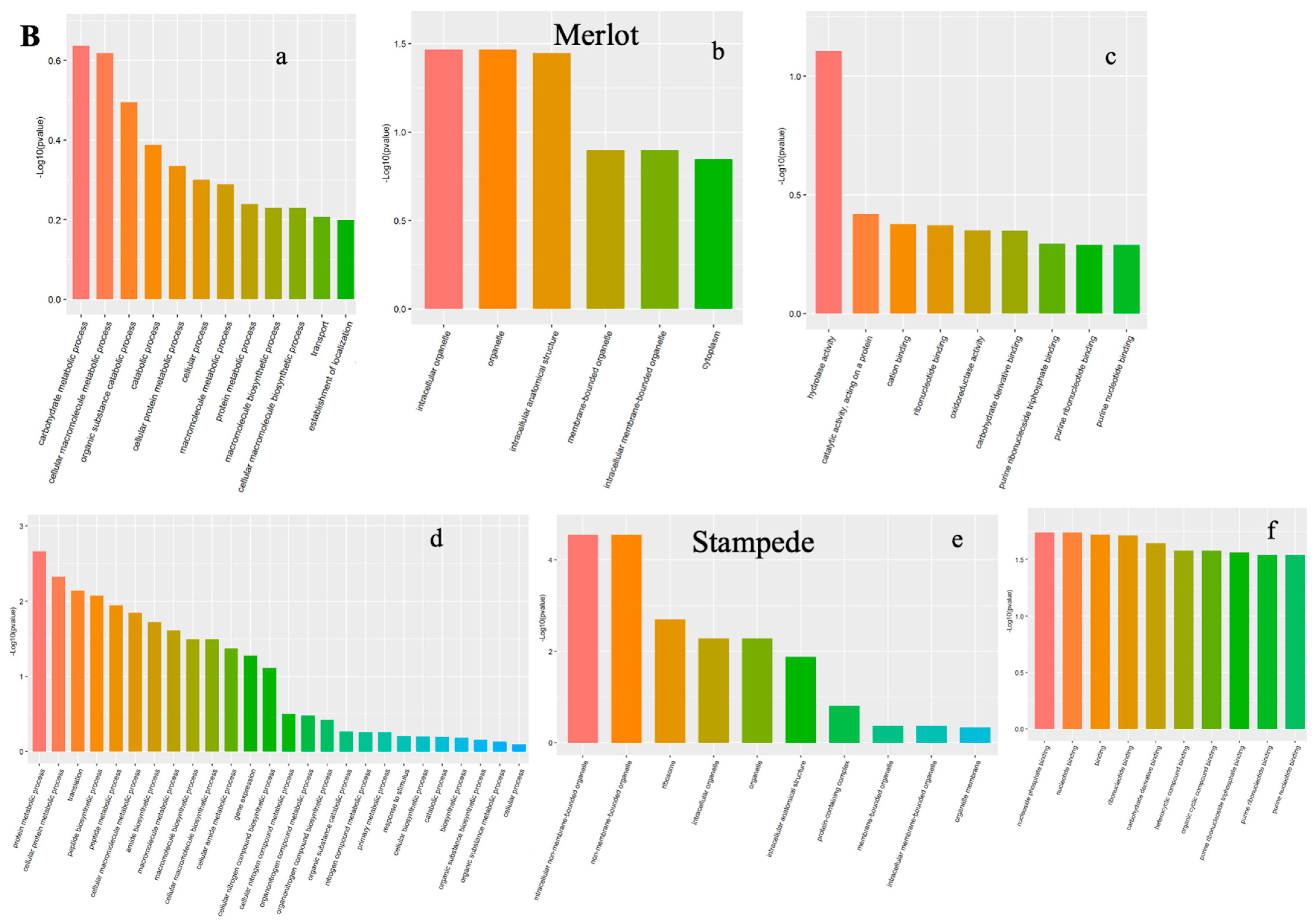 Biomolecules 14 00109 g002b Biomolecules 14 00109 g002b