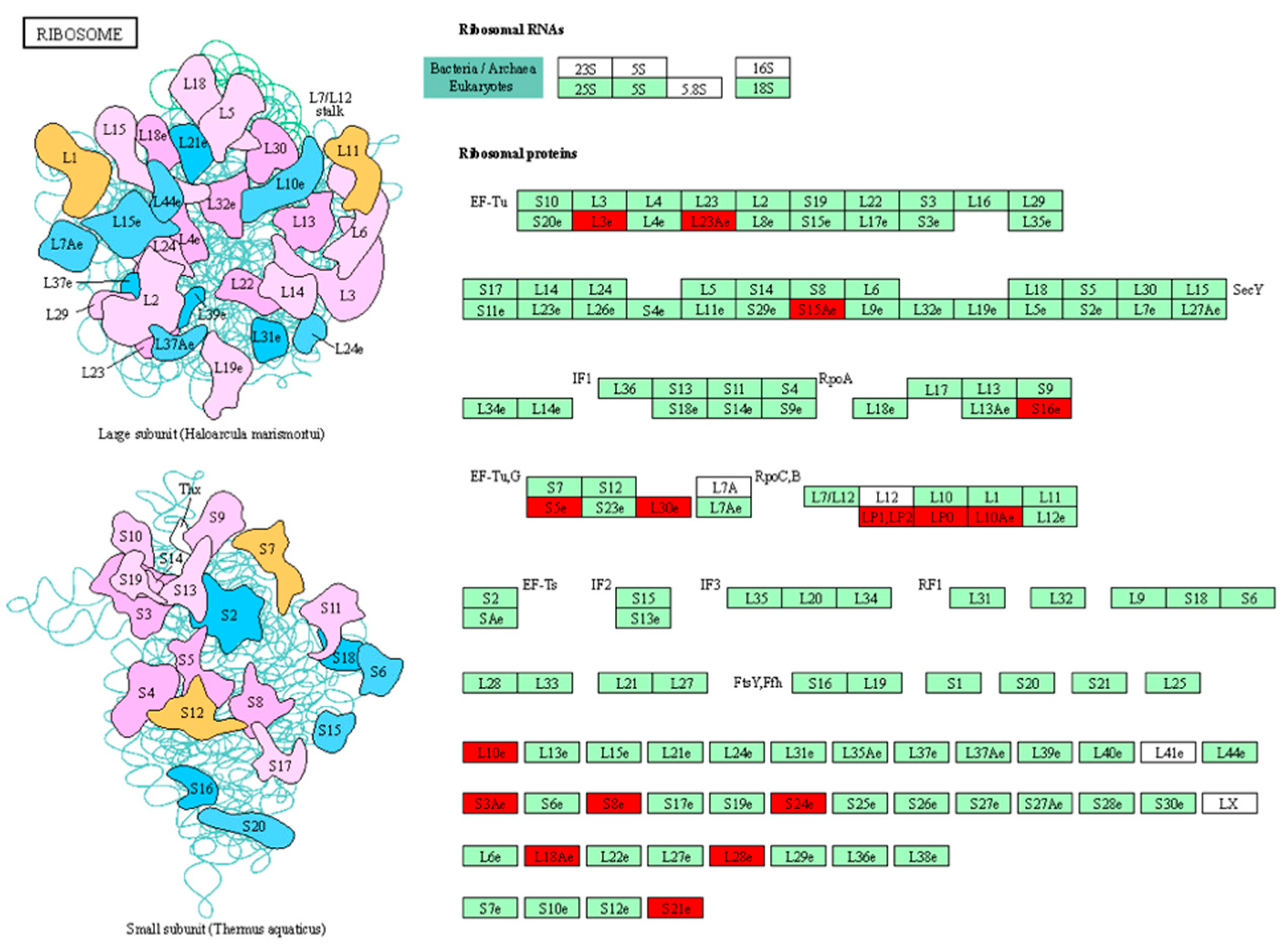 Biomolecules 14 00109 g005 Biomolecules 14 00109 g005