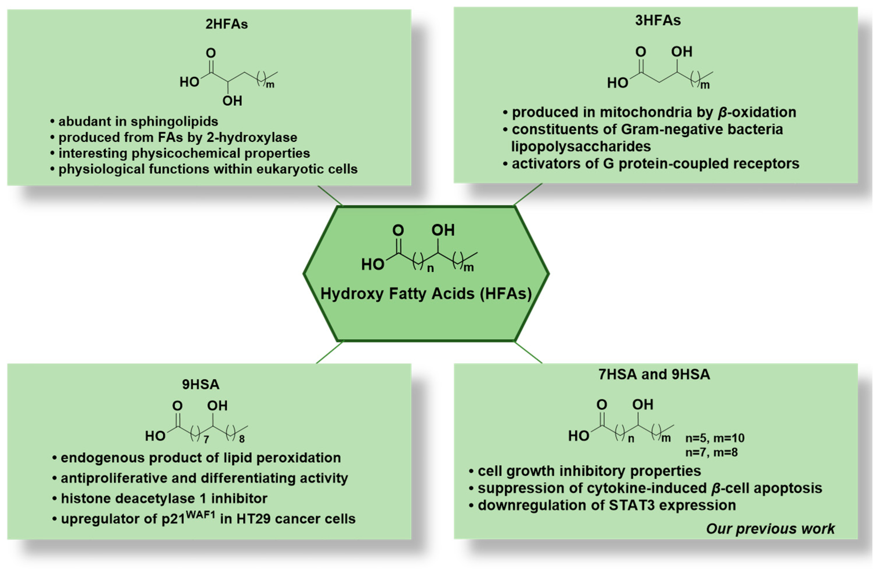 Biomolecules 14 00110 g001