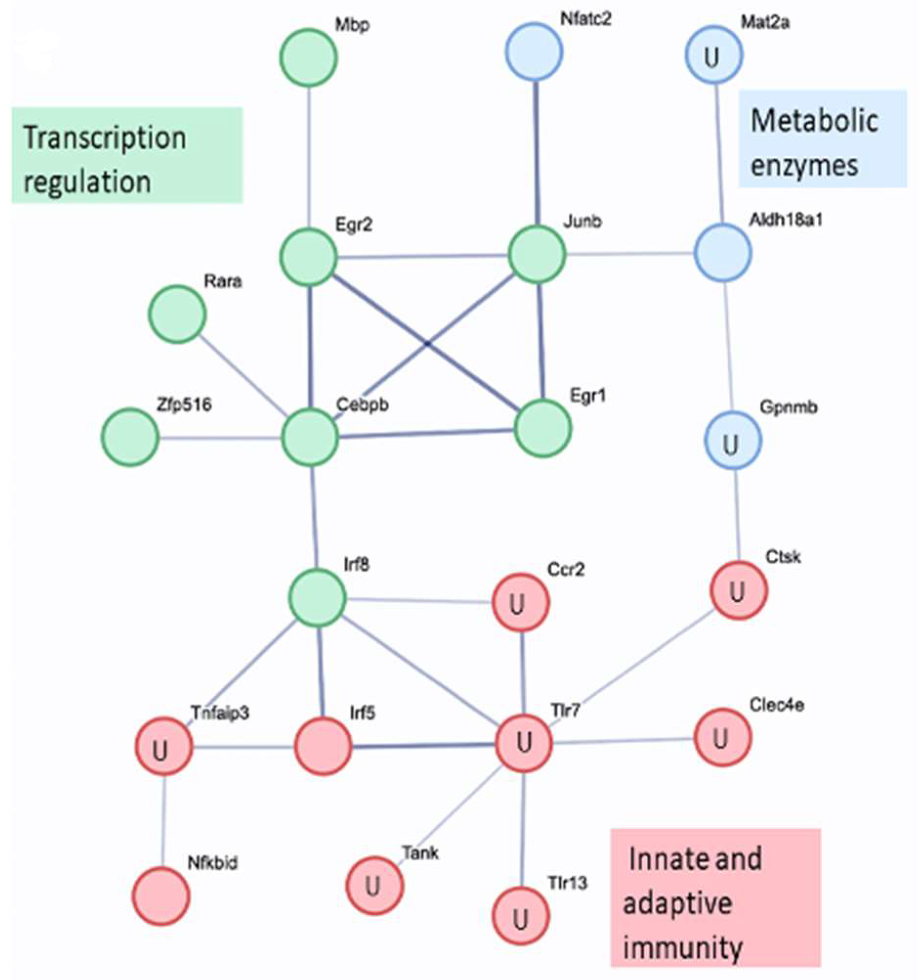Biomolecules 14 00112 g004