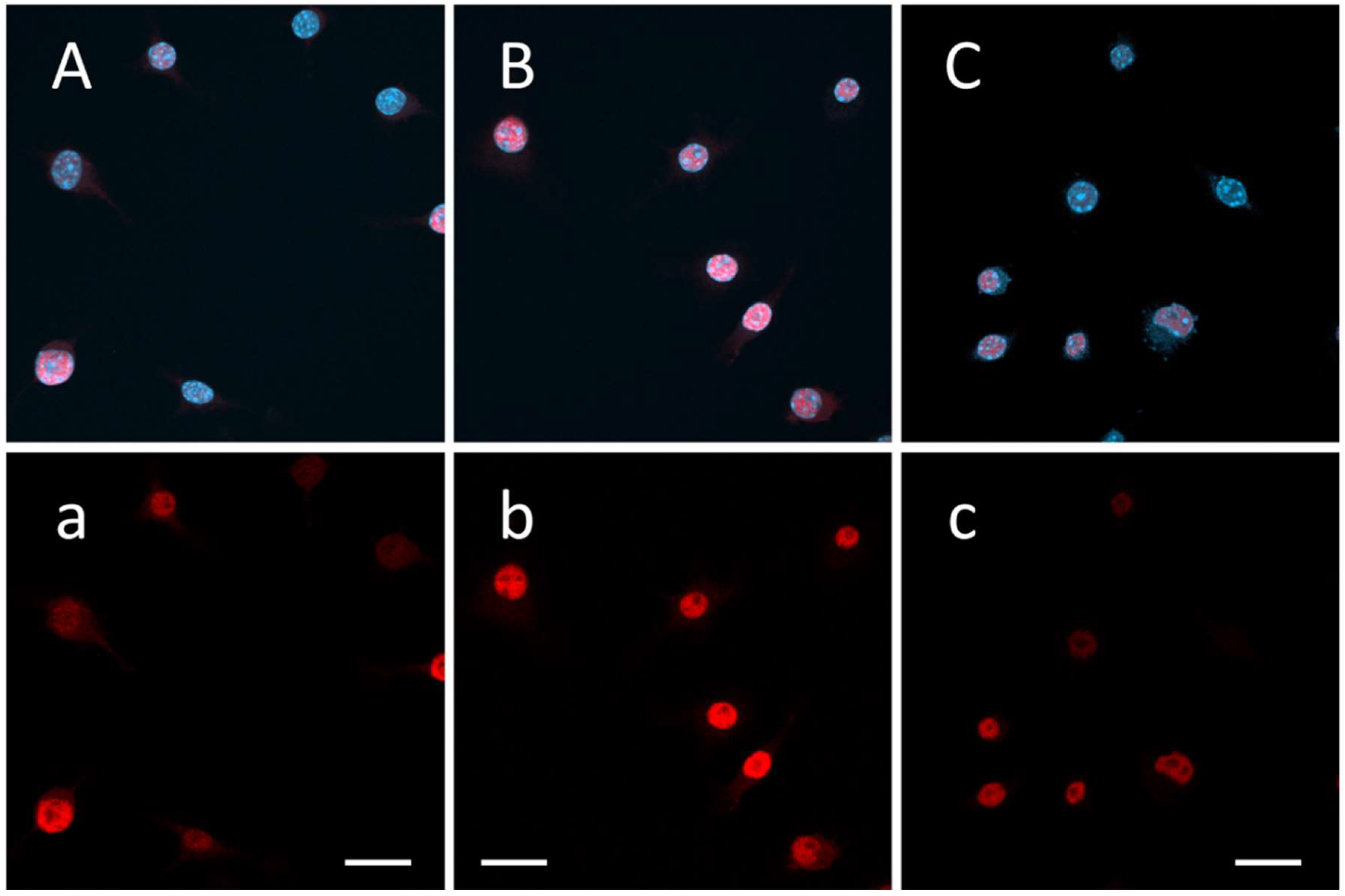 Biomolecules 14 00112 g006