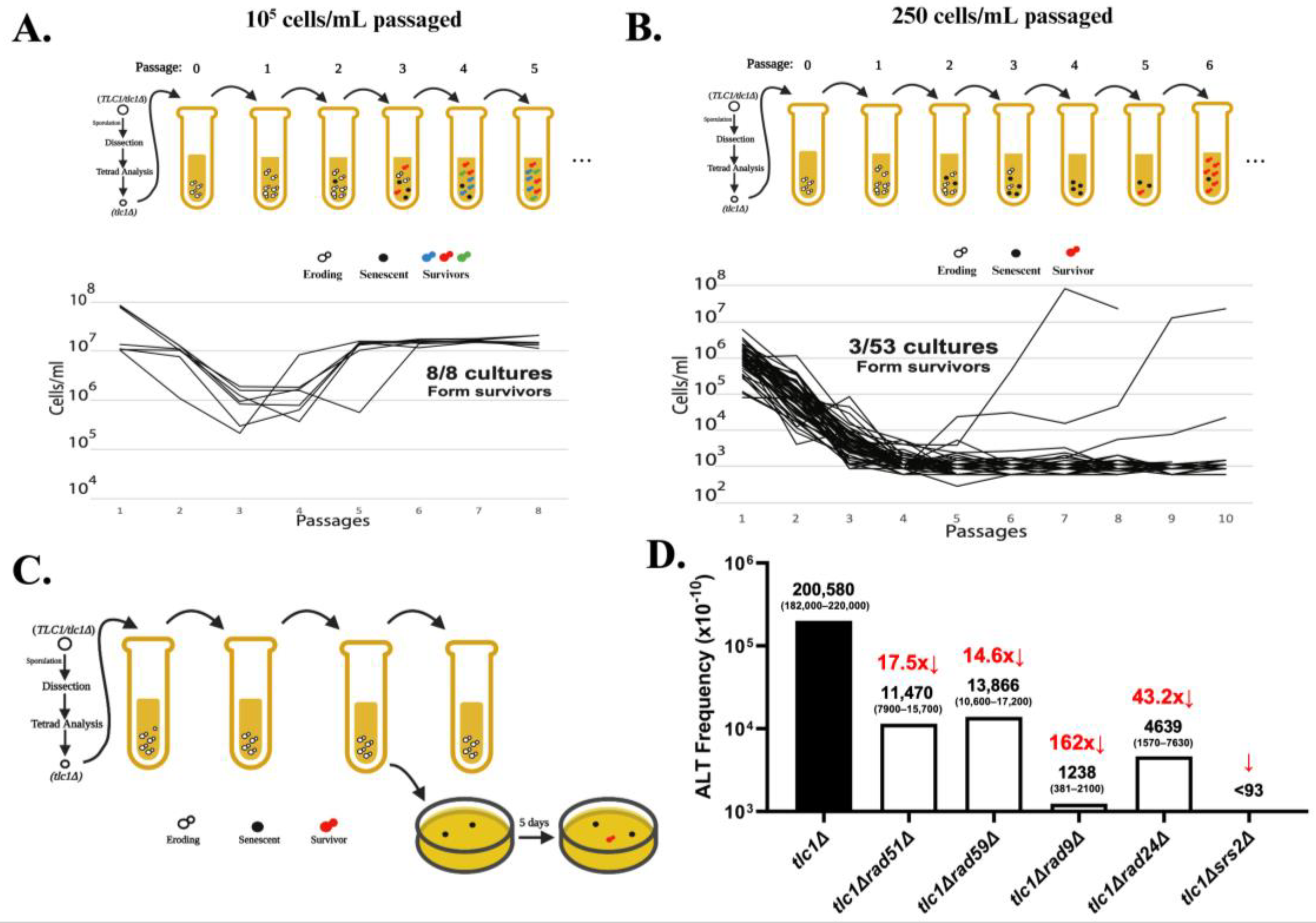 Biomolecules 14 00113 g002 Biomolecules 14 00113 g002