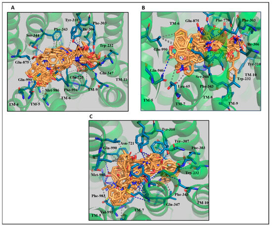 Molecular Modeling Studies to Probe the Binding Hypothesis of Novel ...