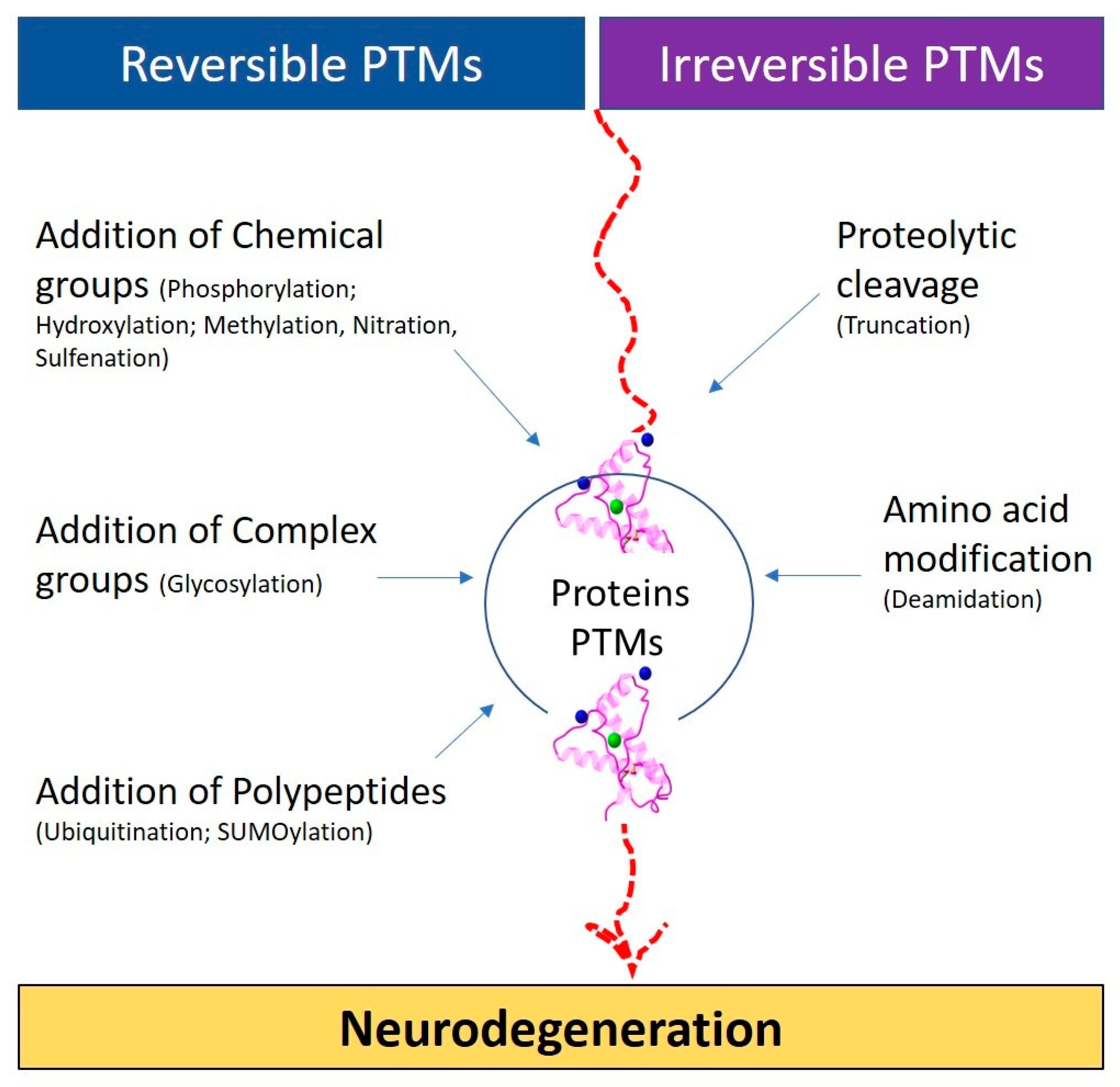 Biomolecules 14 00118 g001 Biomolecules 14 00118 g001