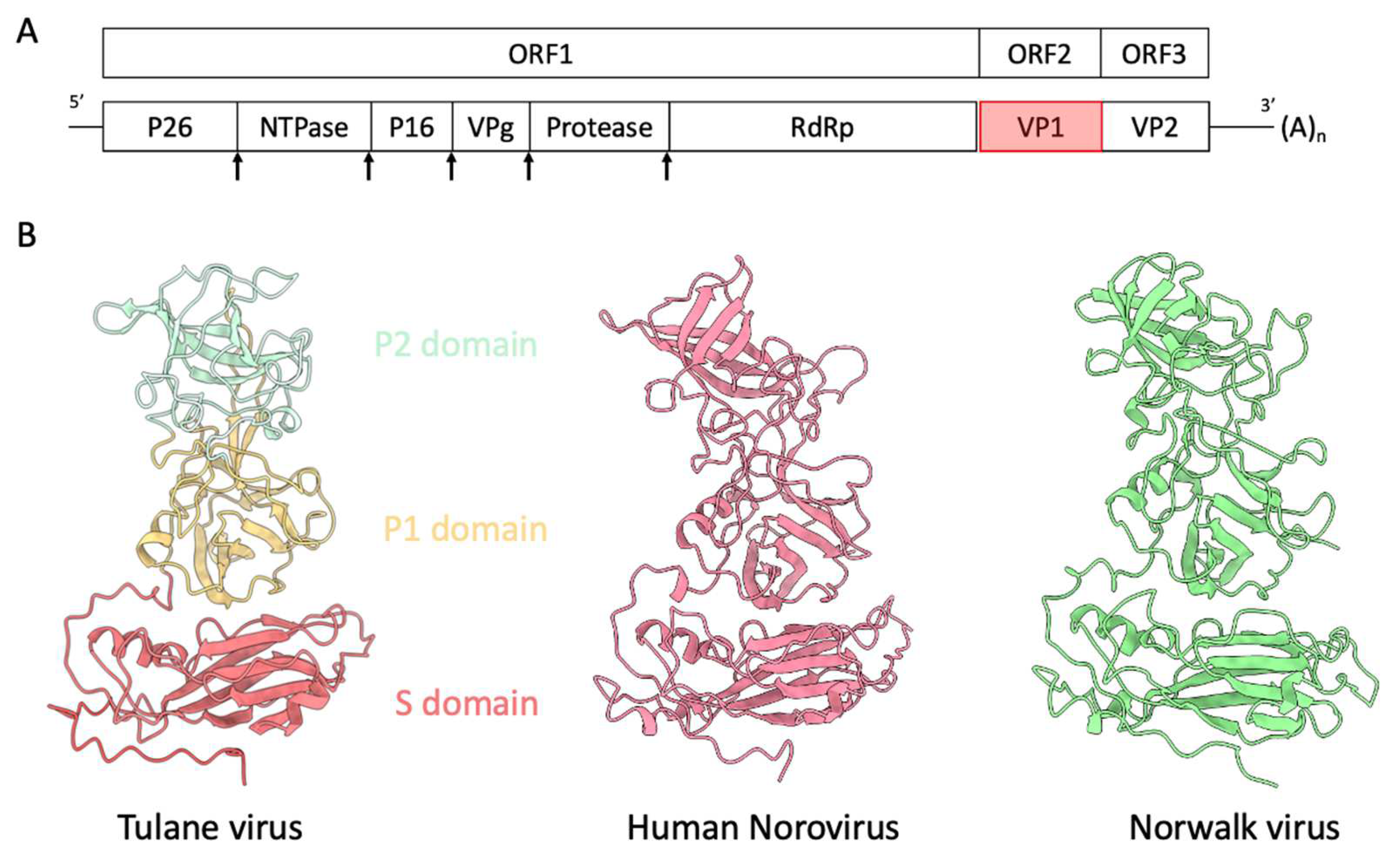 Biomolecules 14 00119 g001