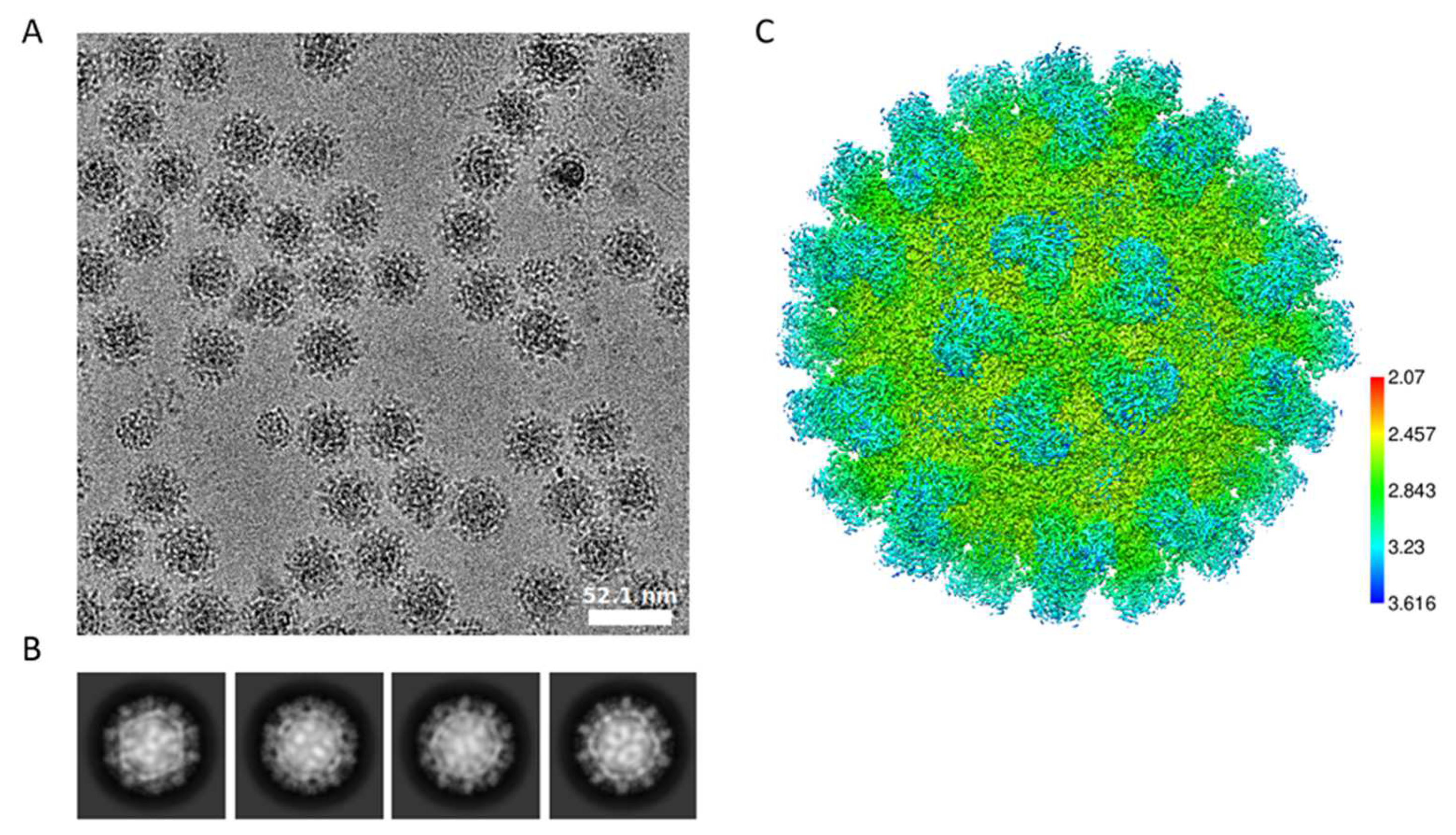 Biomolecules 14 00119 g006